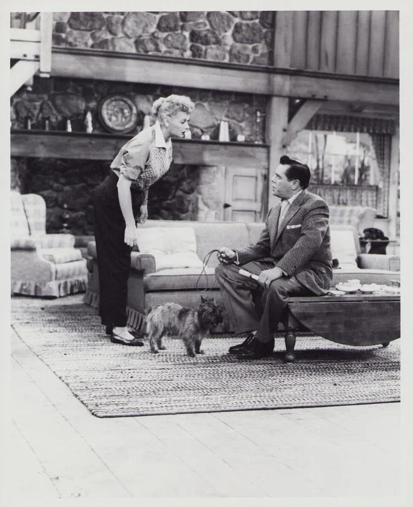I Love Lucy Lobby Card, USA, 1951