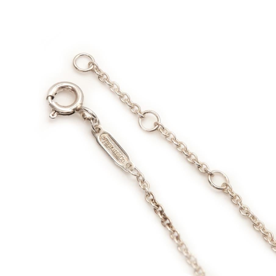 Tiffany & Co. 1837 Sterling Silver Interlocking Circle Chain