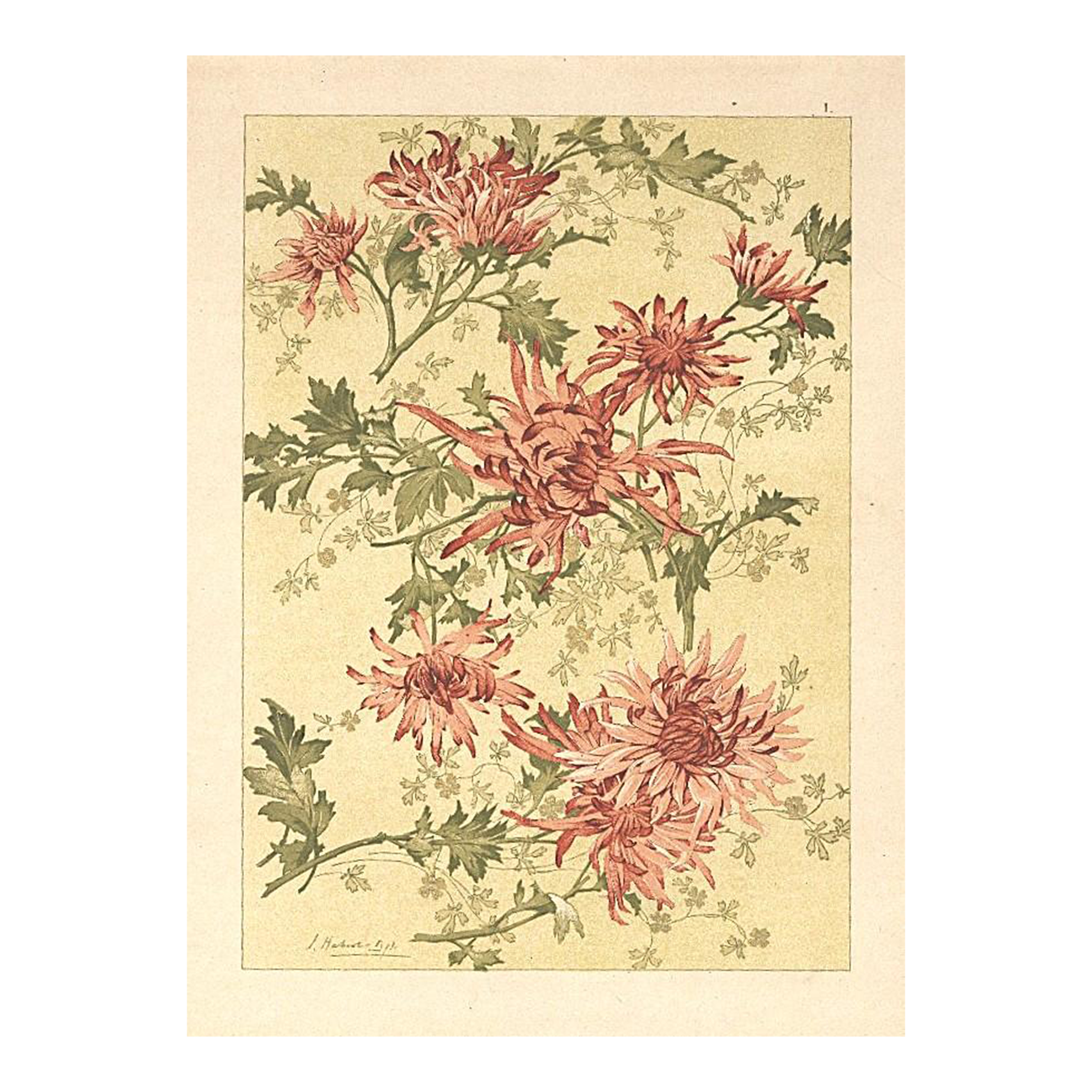 C1900 French Art Nouveau Botanical Design Chromolithograph by Habert Dys