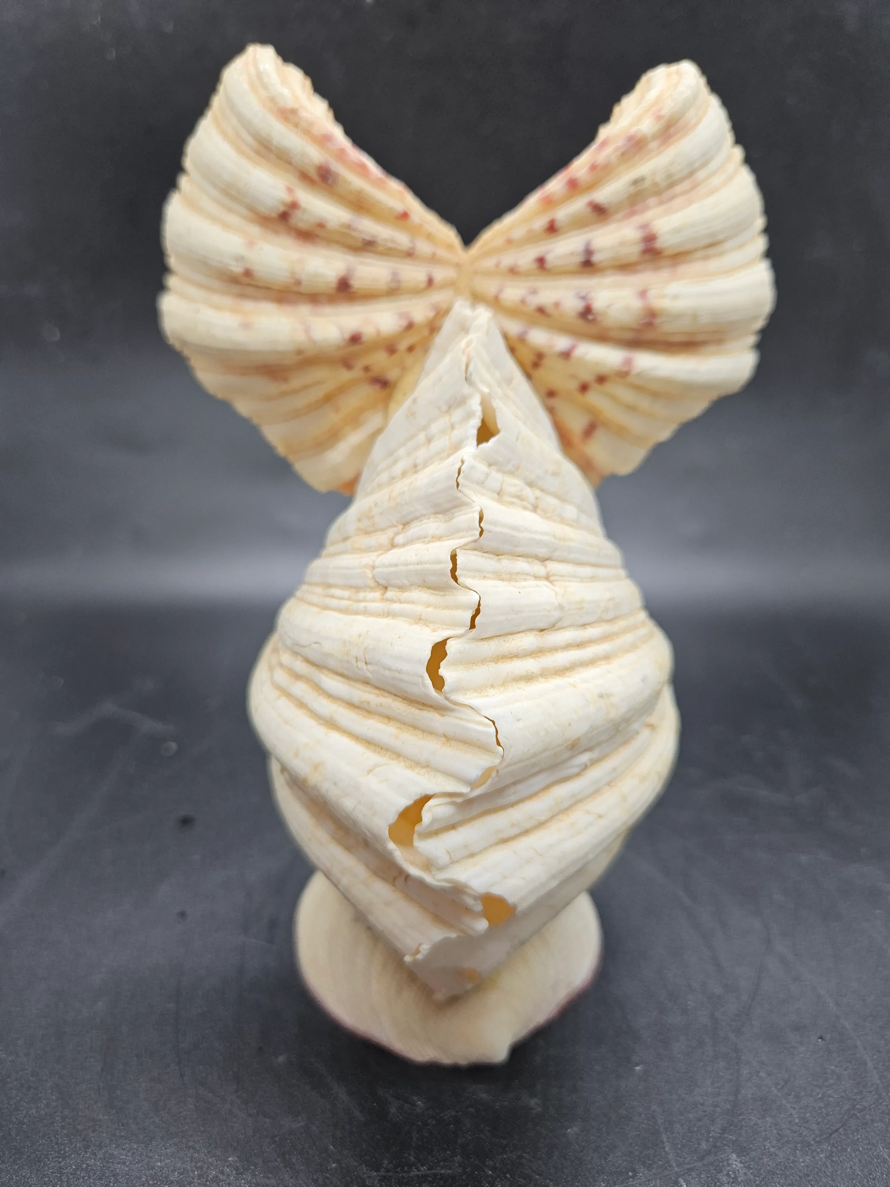 Vintage Folk Art Sea Shell Covered Owl Figurine 7”