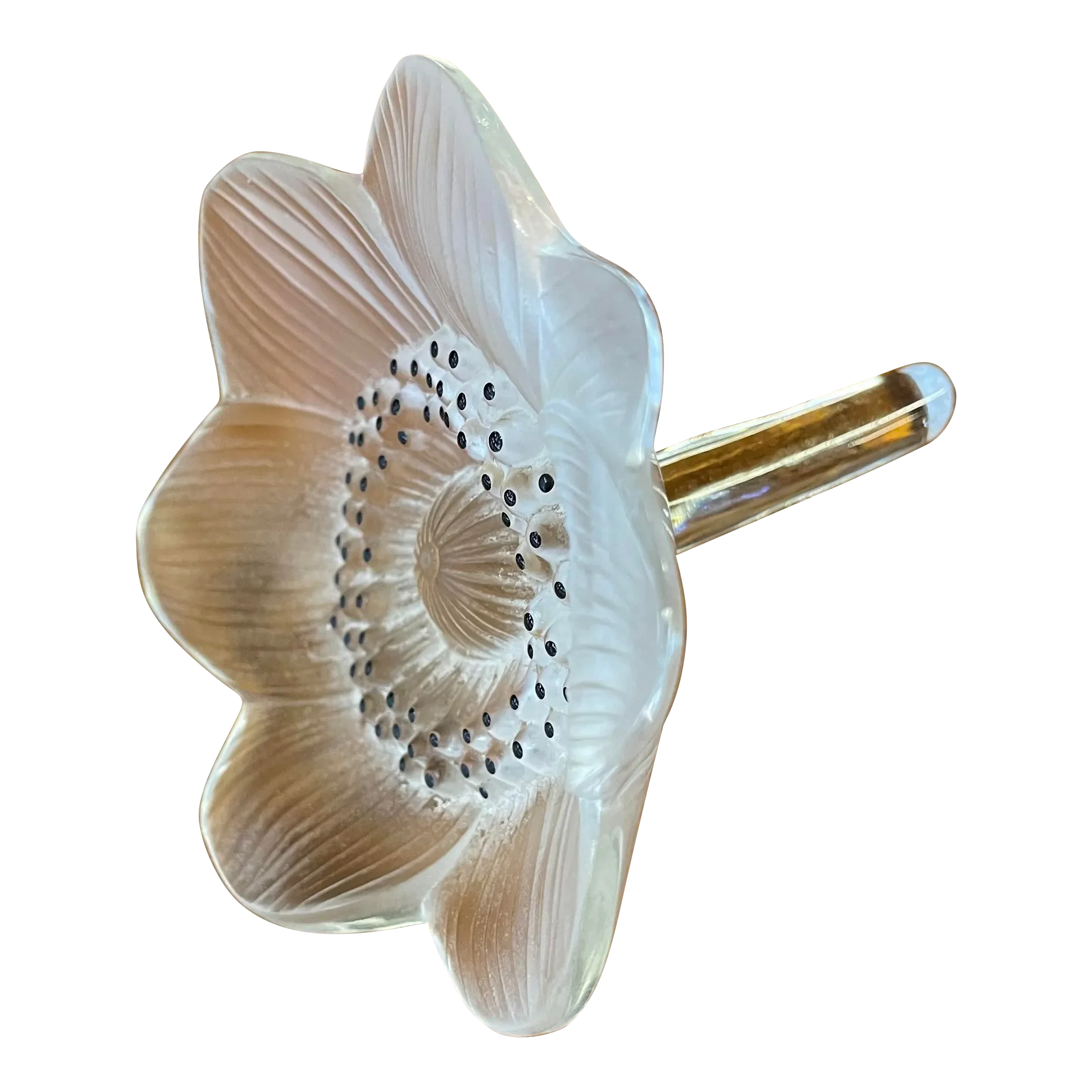 LALIQUE ラリック/ アネモネの花/ ペーパーウェイト /インテリア小物 LALIQUE ラリック/ アネモネの花/ ペーパーウェイト /インテリア