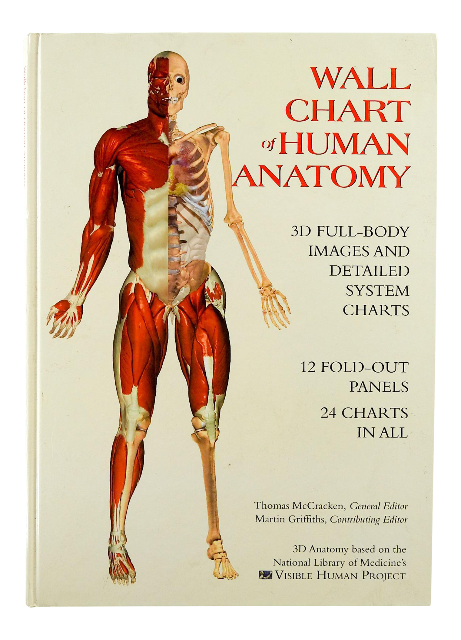 Anatomy Charts For Sale