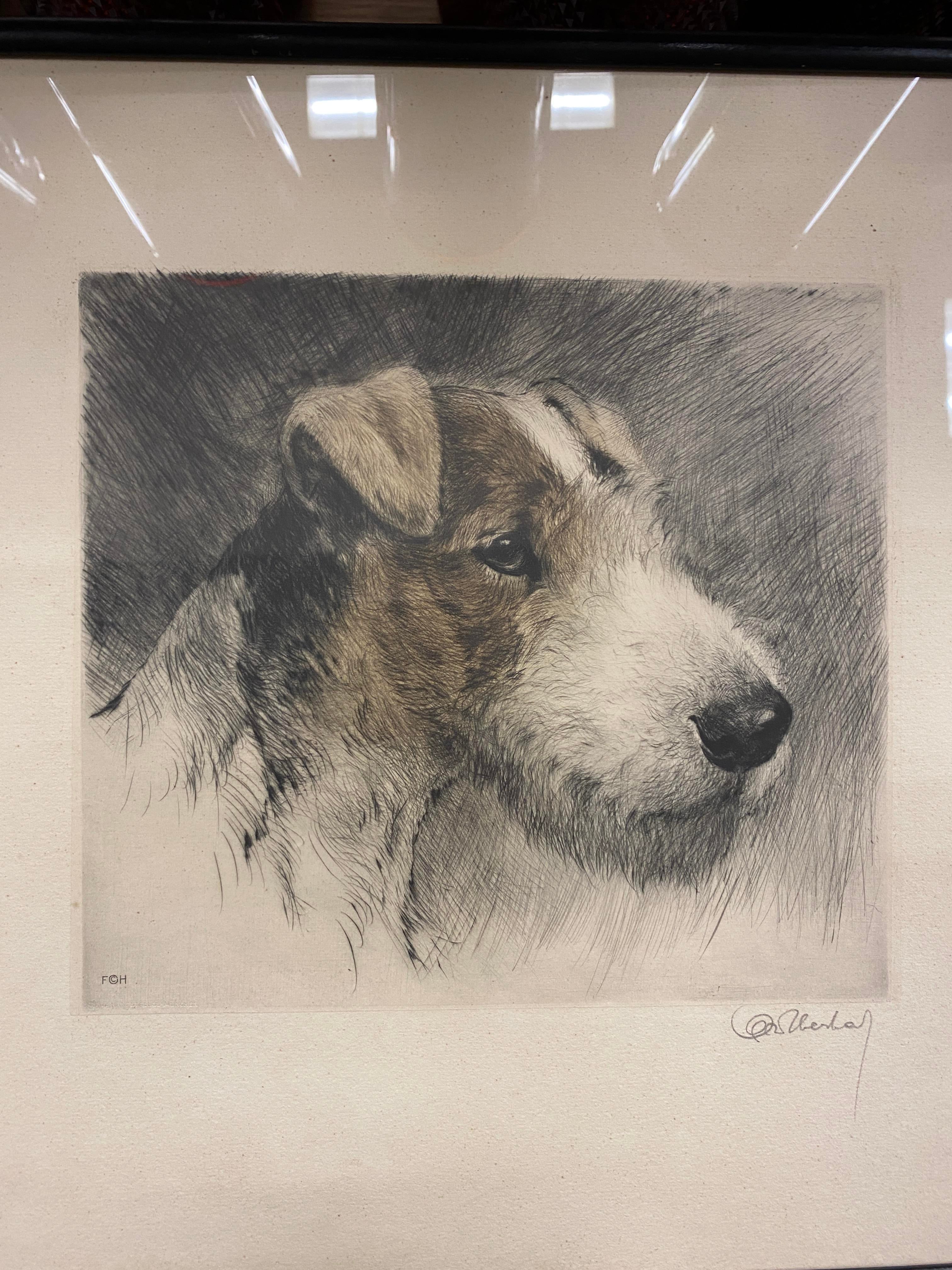 Early 20th Century Wire Fox Terrier Dog Original Signed Print by