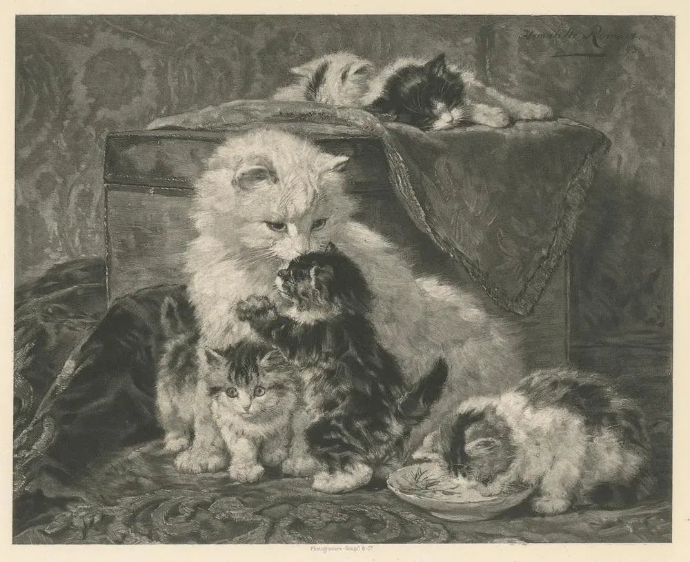 Henriette Ronner, Mother's Love: Cats and Kittens, 1894, Print