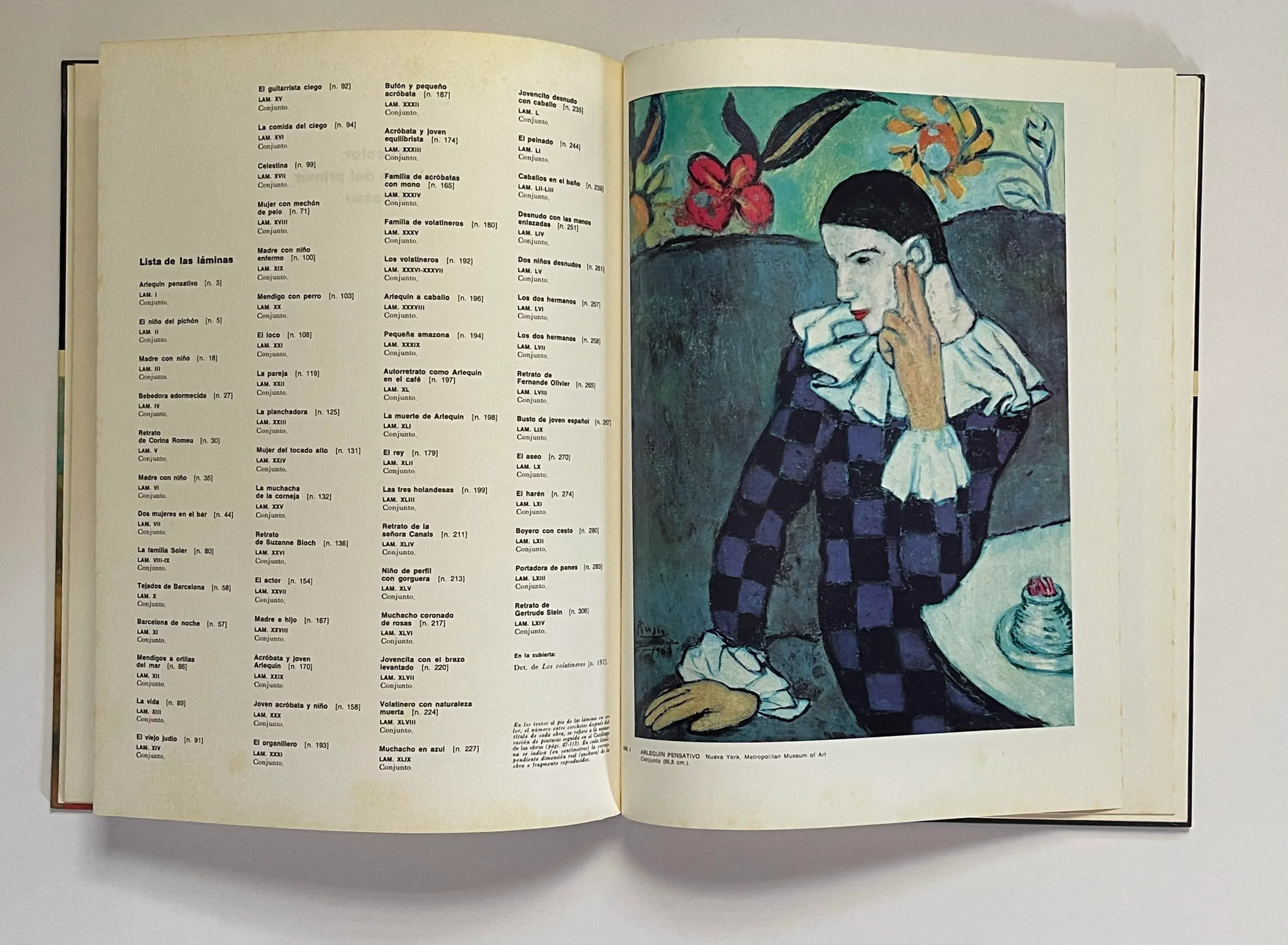 1970s Picasso Azul Y Rosa Hardcover Art Book | Chairish