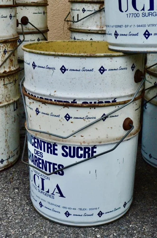 Industrial UCLA Buckets, 1960s, Set of 12
