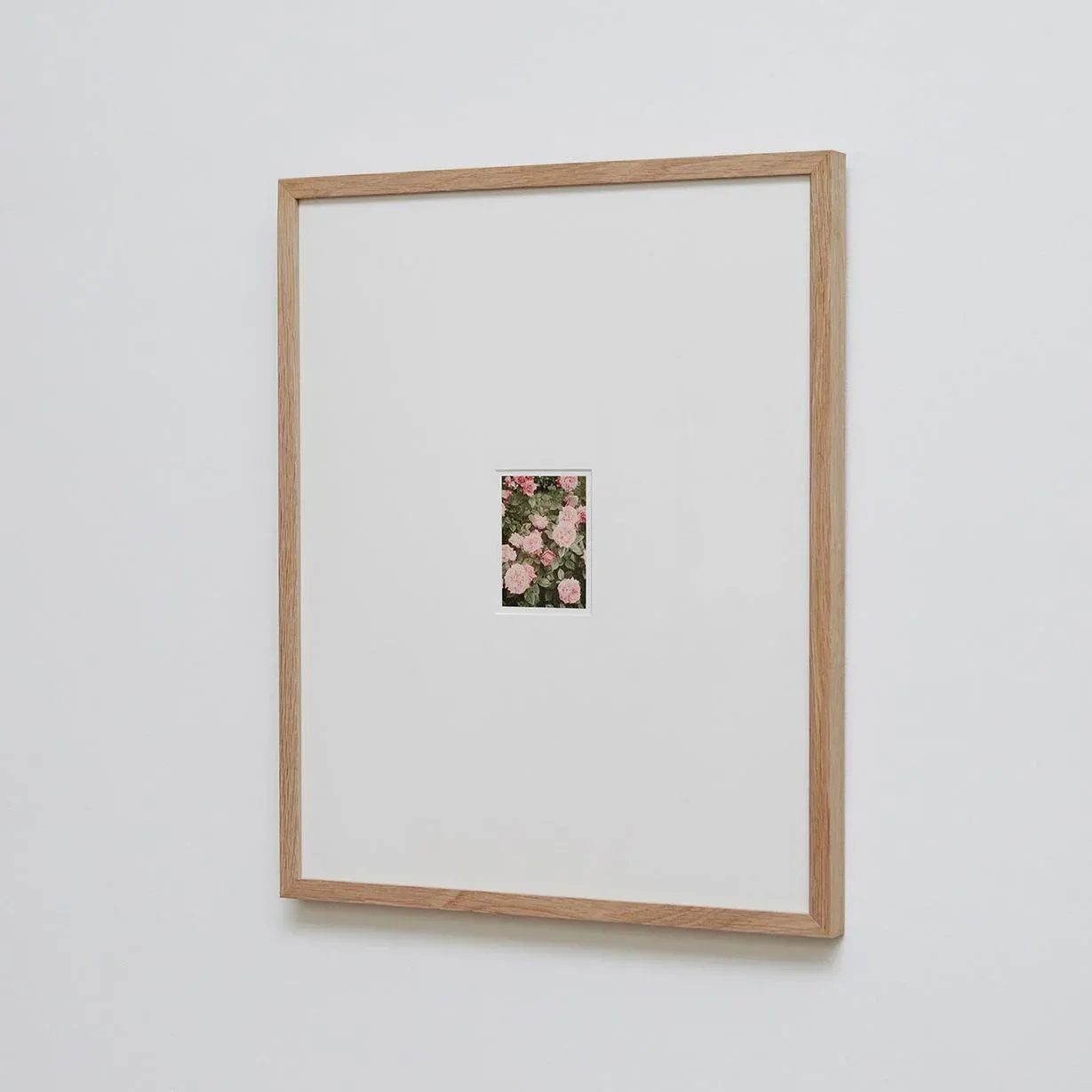 The Rose Garden Nº 14 Print by David Urbano, 2018