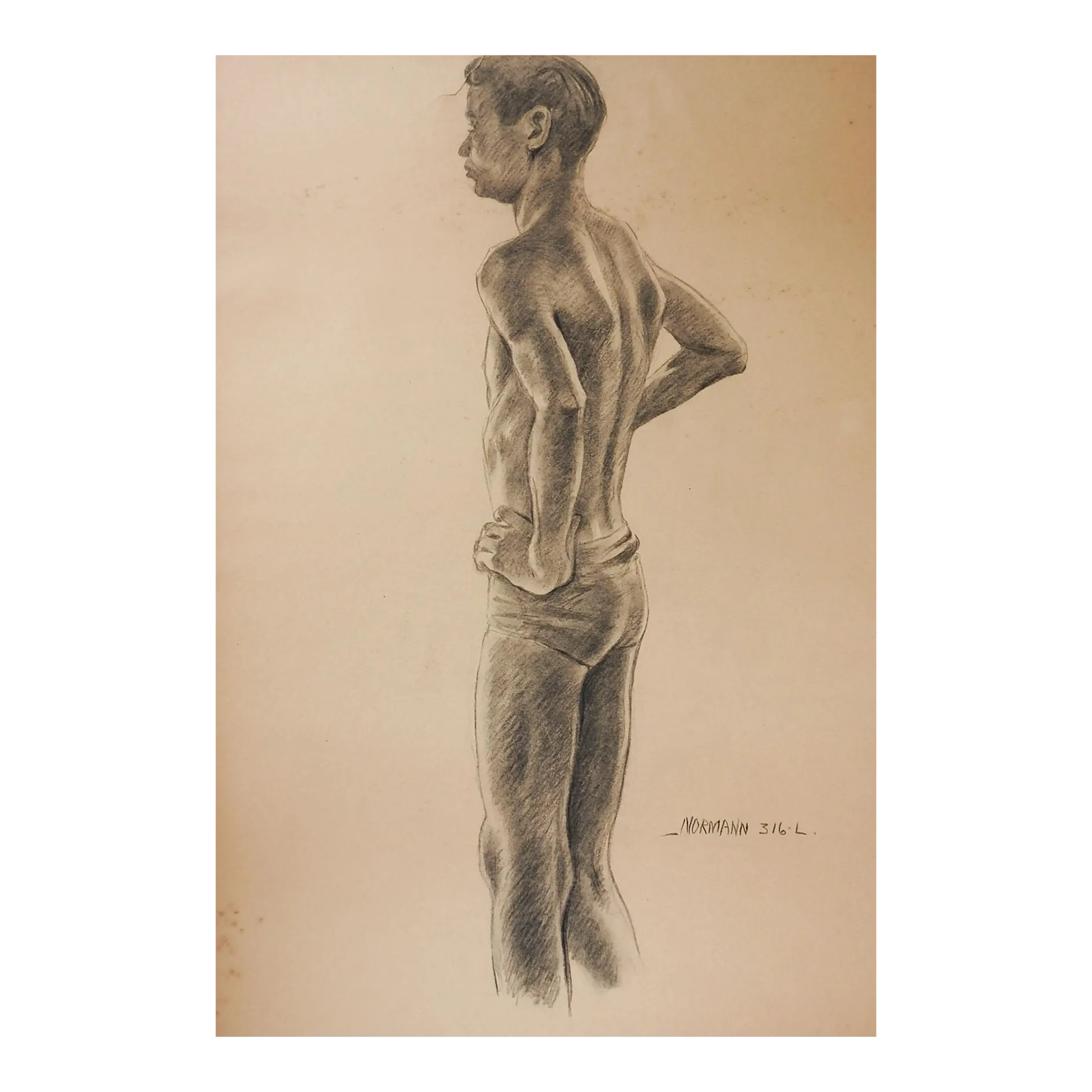 Vintage 1950s Charles Normann Male Charcoal Drawing Chairish