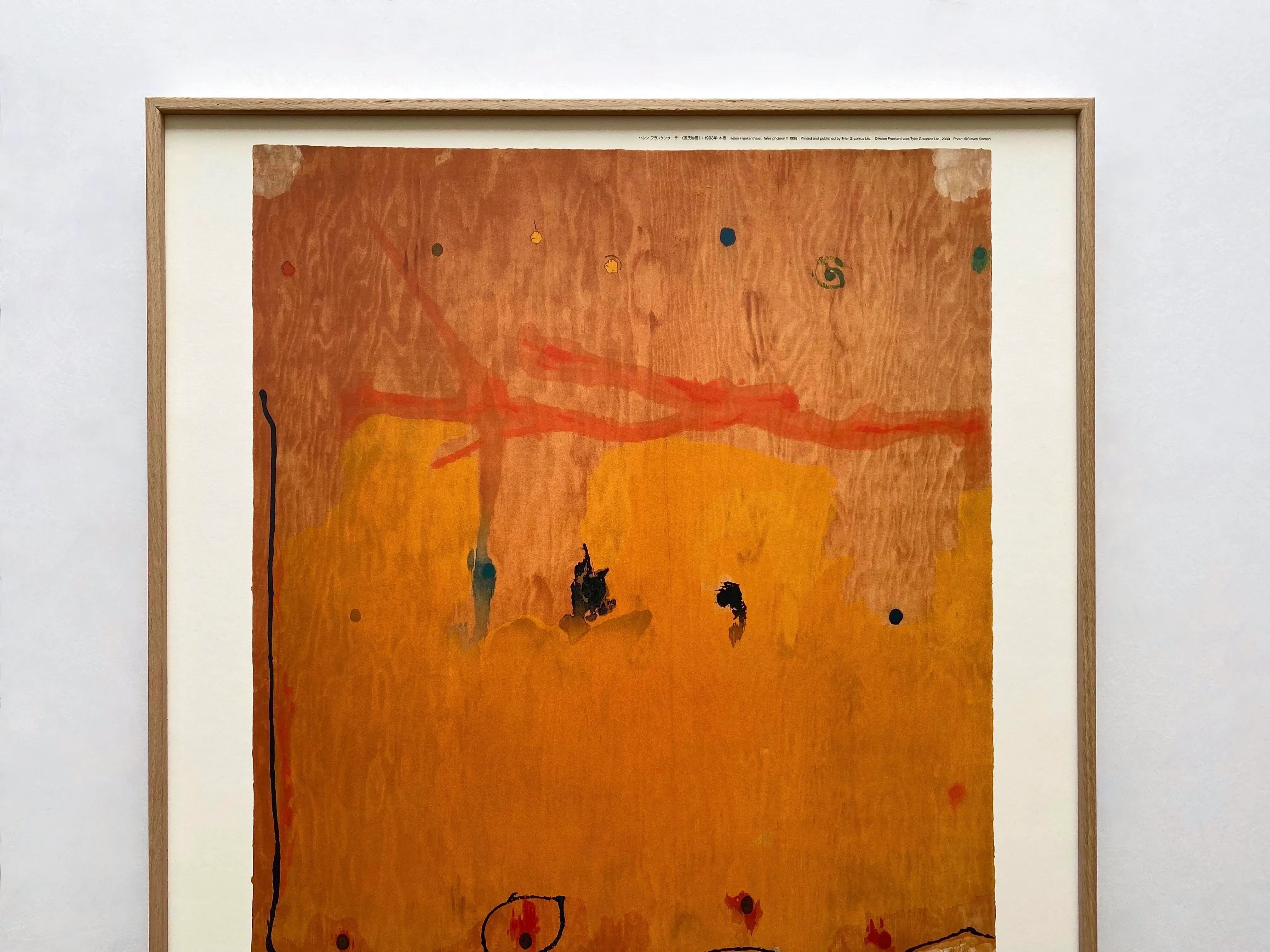Helen Frankenthaler Vintage Abstract Expressionist Fine Art
