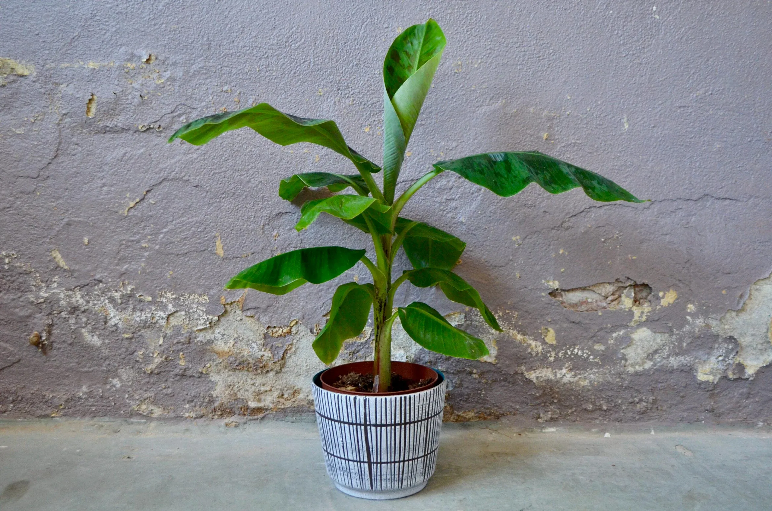 painting plant pots outdoor Handpainted Garden Tool's 10" Planter
