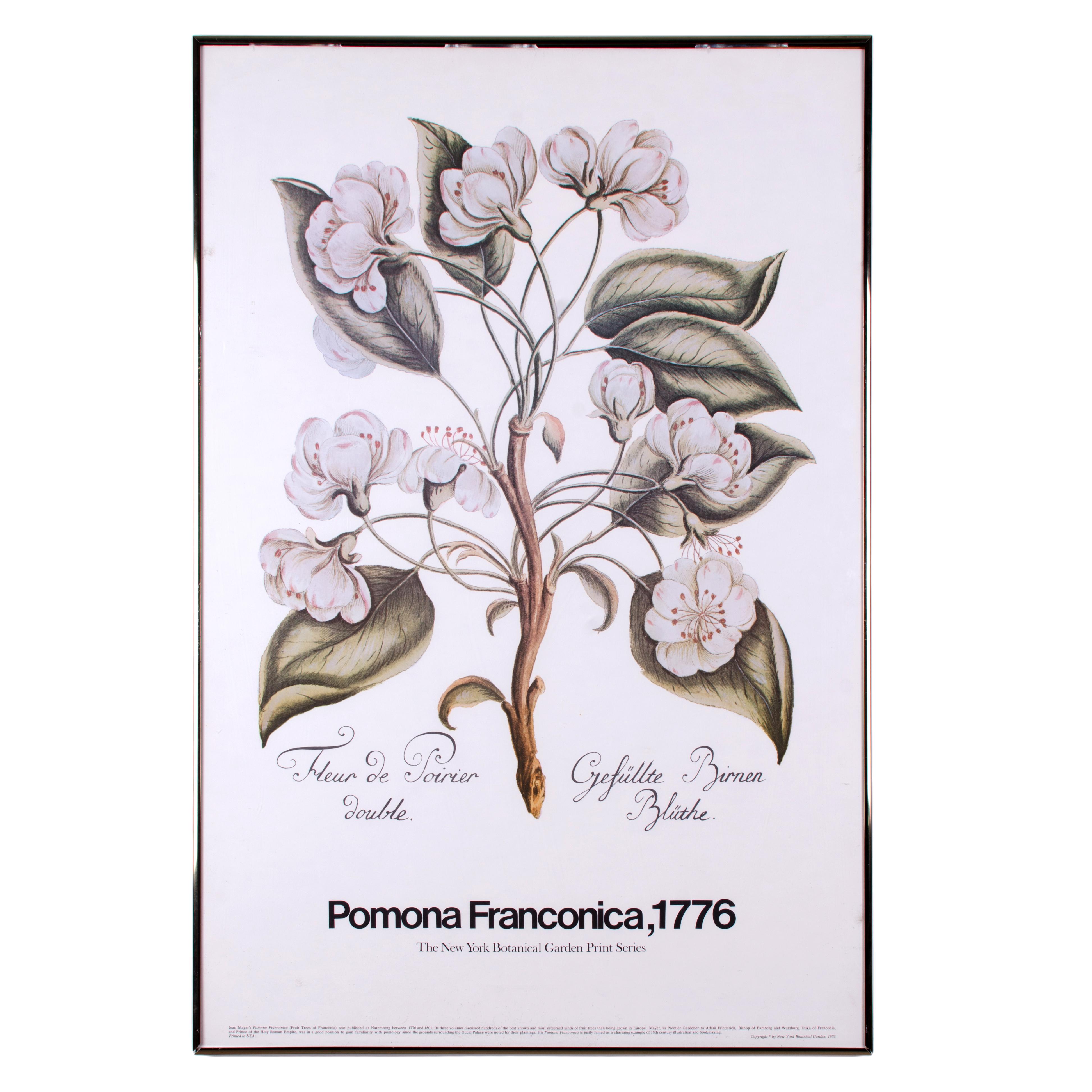 BOTANICAL ART 【import品】 51xJ2u4leHL._AC_SY200_QL15_.jpg