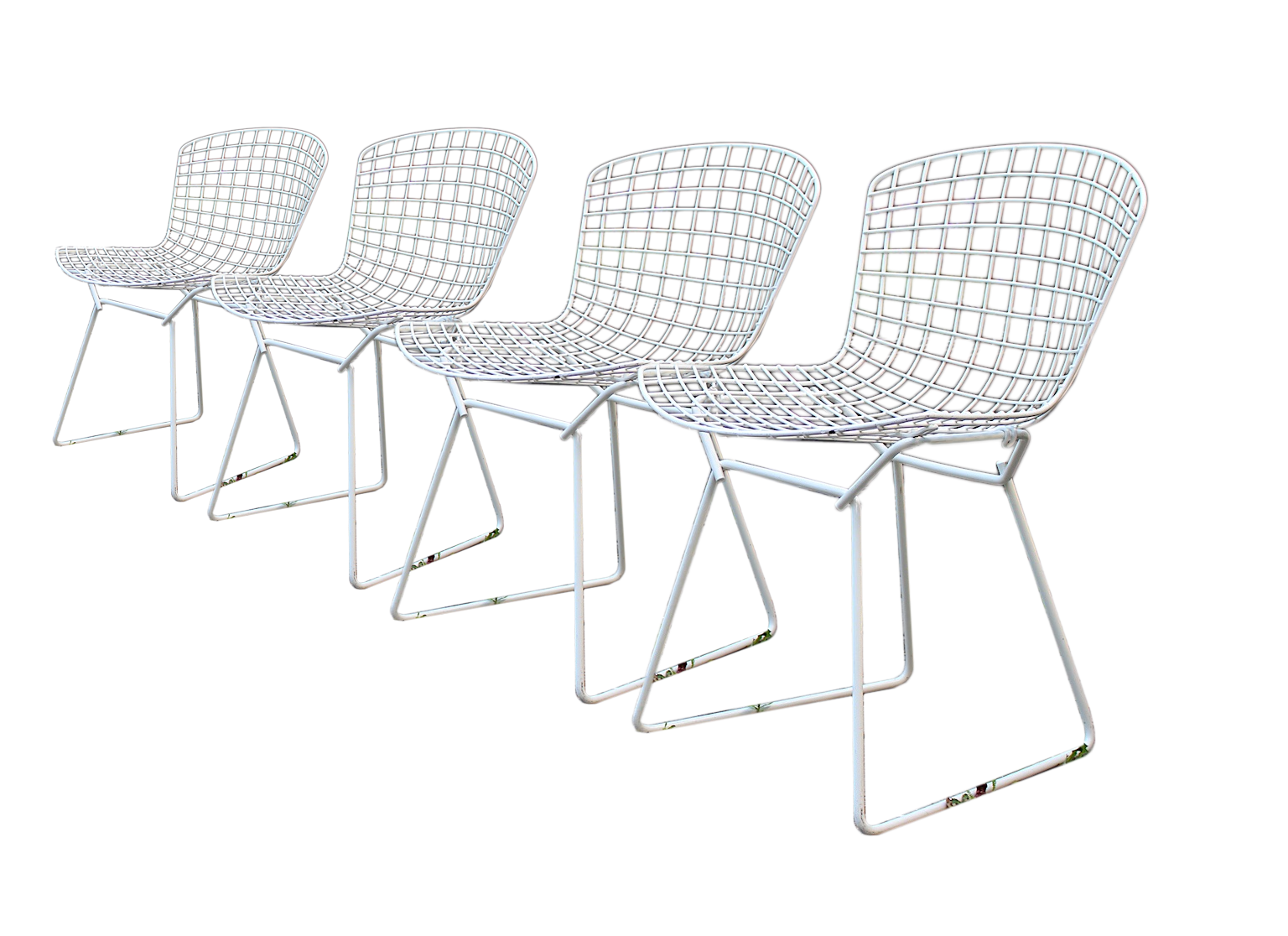MidCentury Modern White Chairs from Harry Bertoia, 1950s, Set of 4 Chairish