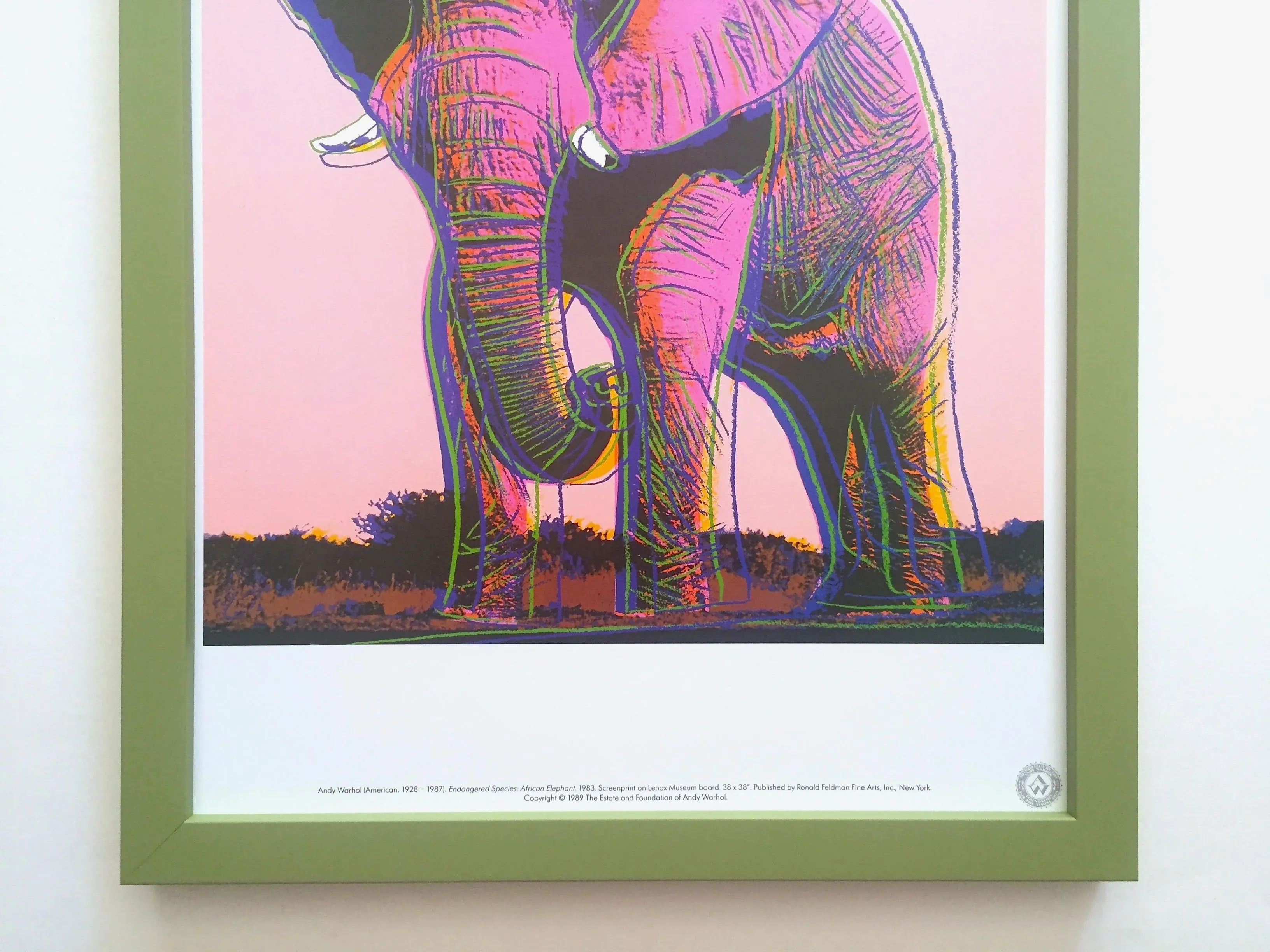 Andy Warhol Estate Vintage 1989 Endangered Species Framed