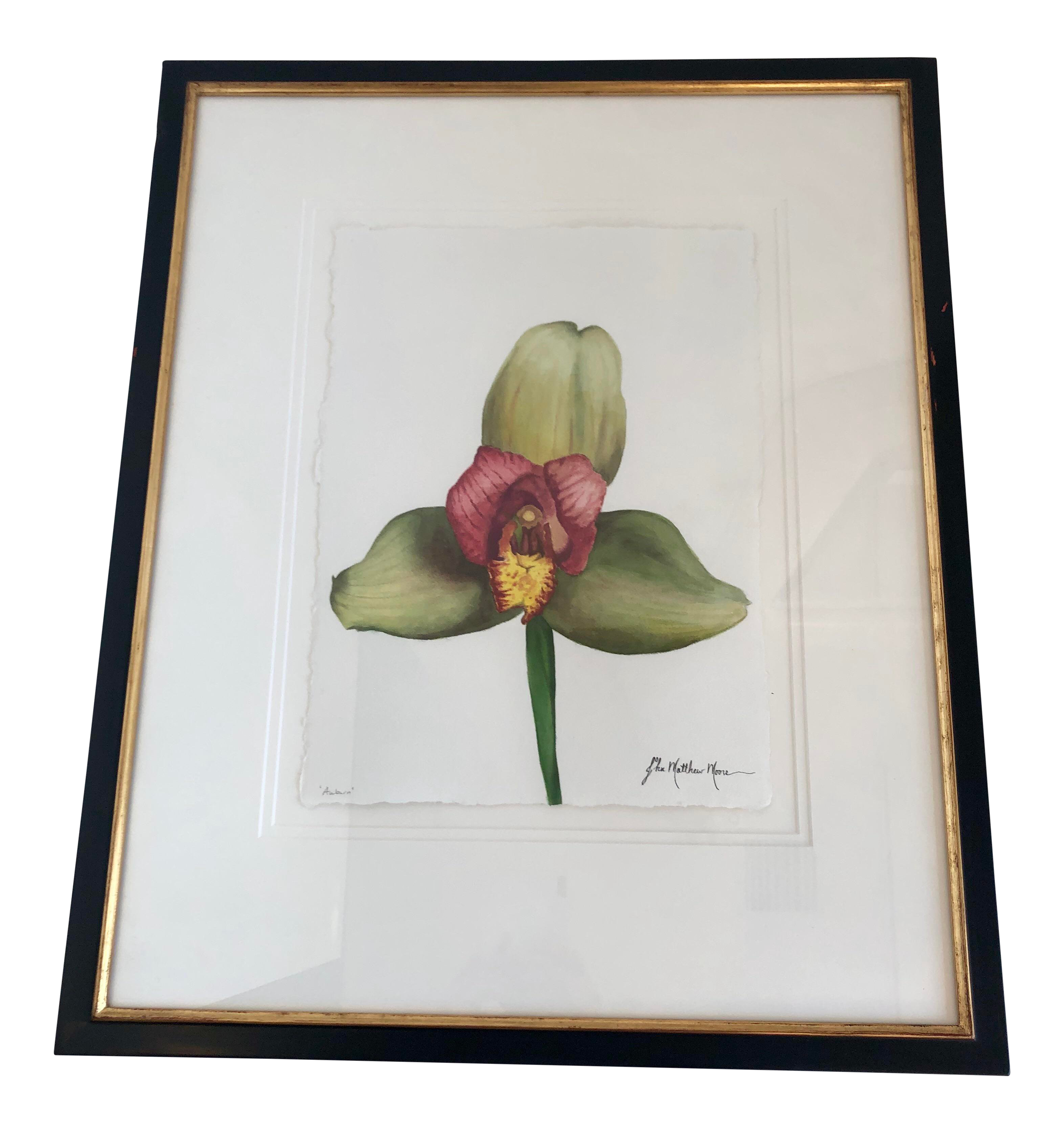 Botanical Water Color Painting Entitled Auburn By Listed Artist John Matthew Moore Chairish