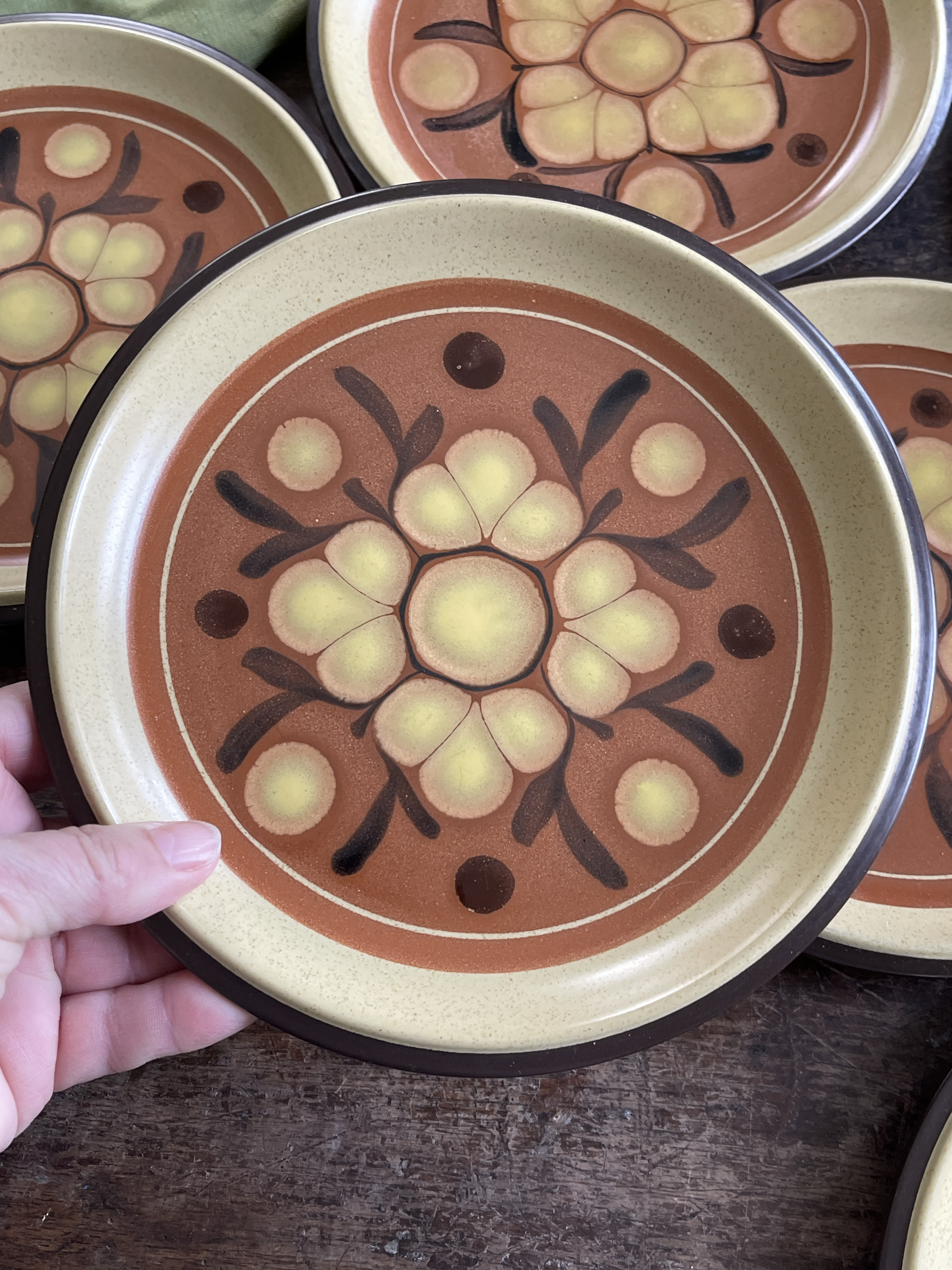 1970s Vintage Japanese Noritake Folkstone in Safari Plates - Set
