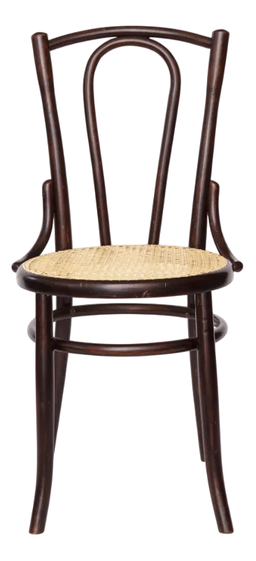 Early 20th Century Bentwood Chair with Beechwood Frame & New Cane