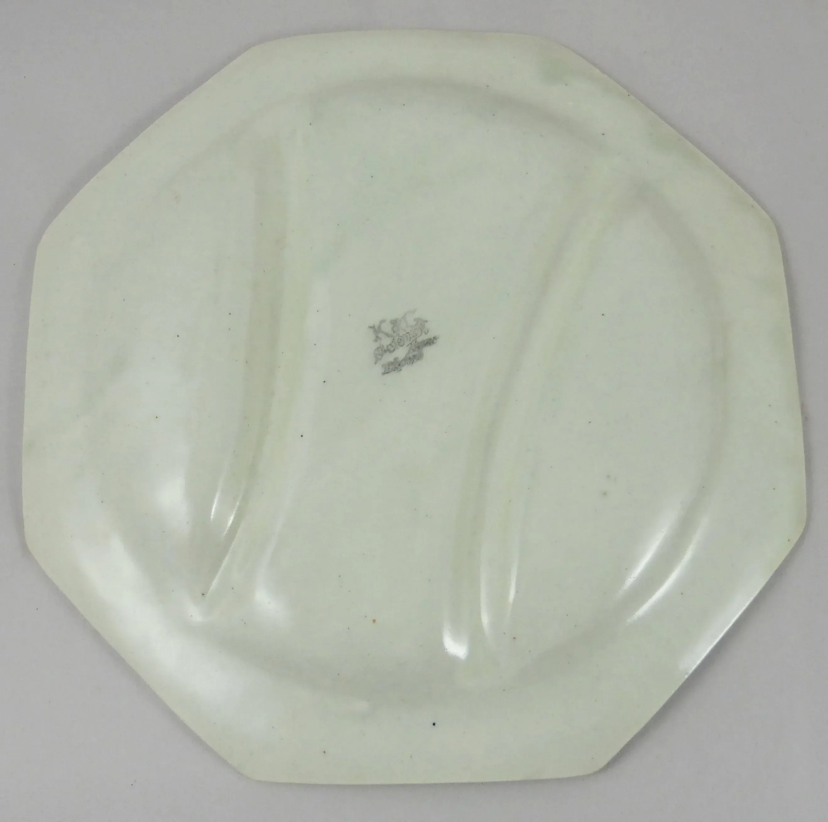 1900s Art Nouveau Majolica Octagonal Water Lily Asparagus Plate