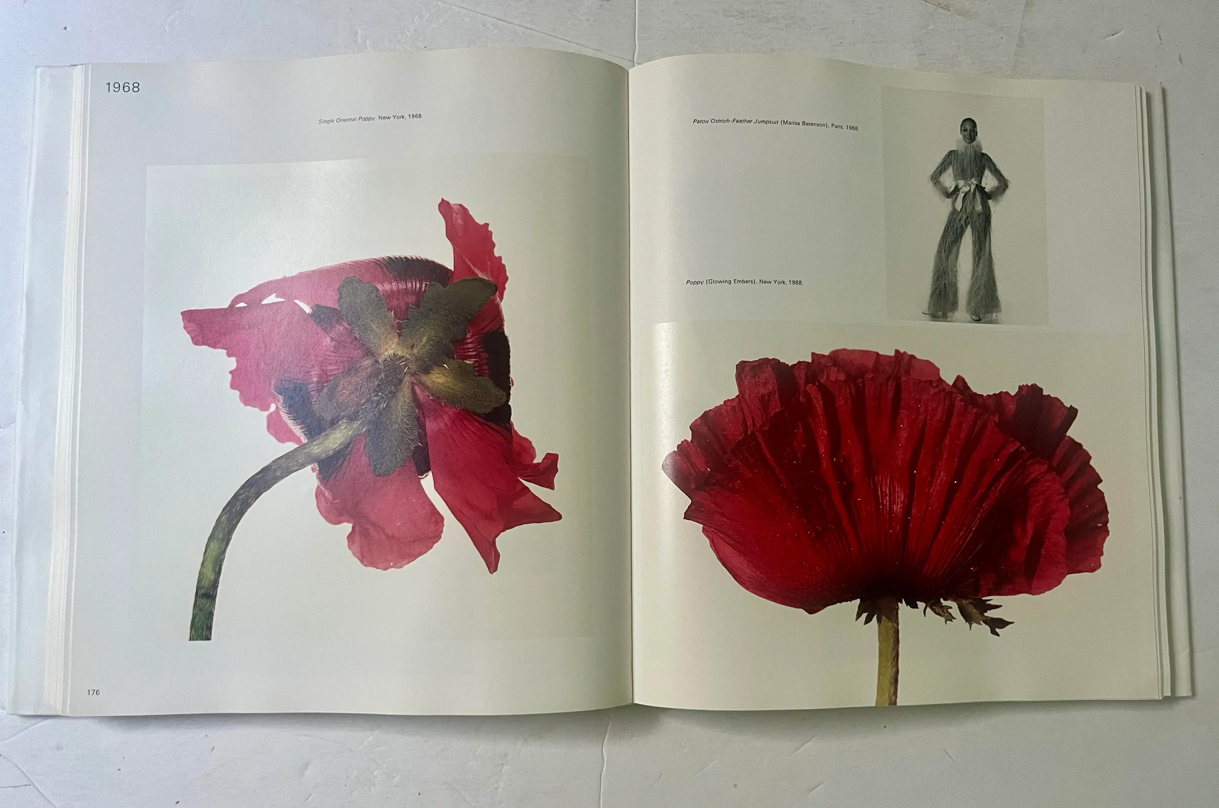 Passage: A Work Record by Irving Penn, 1991, 1st Edition