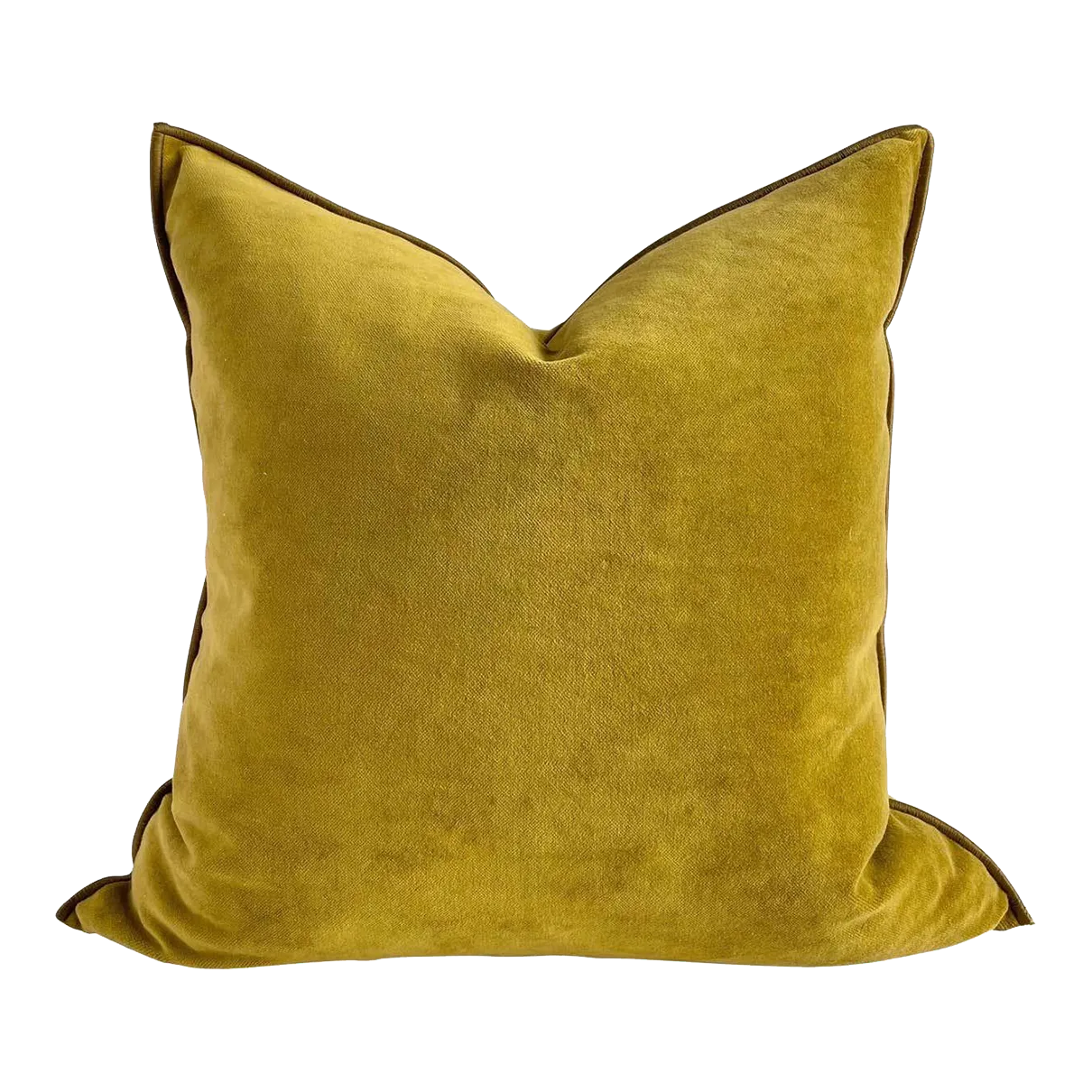 Vintage 2025 velvet cushions