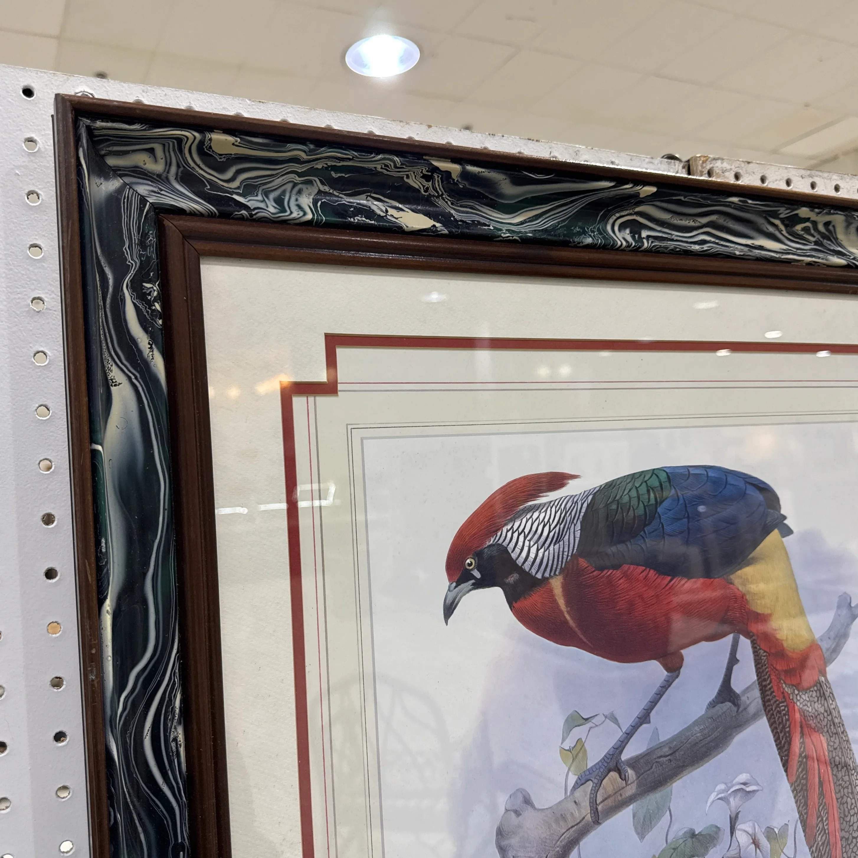 Vintage Pheasant Prints in Custom Lacquered Frames ~ a Pair