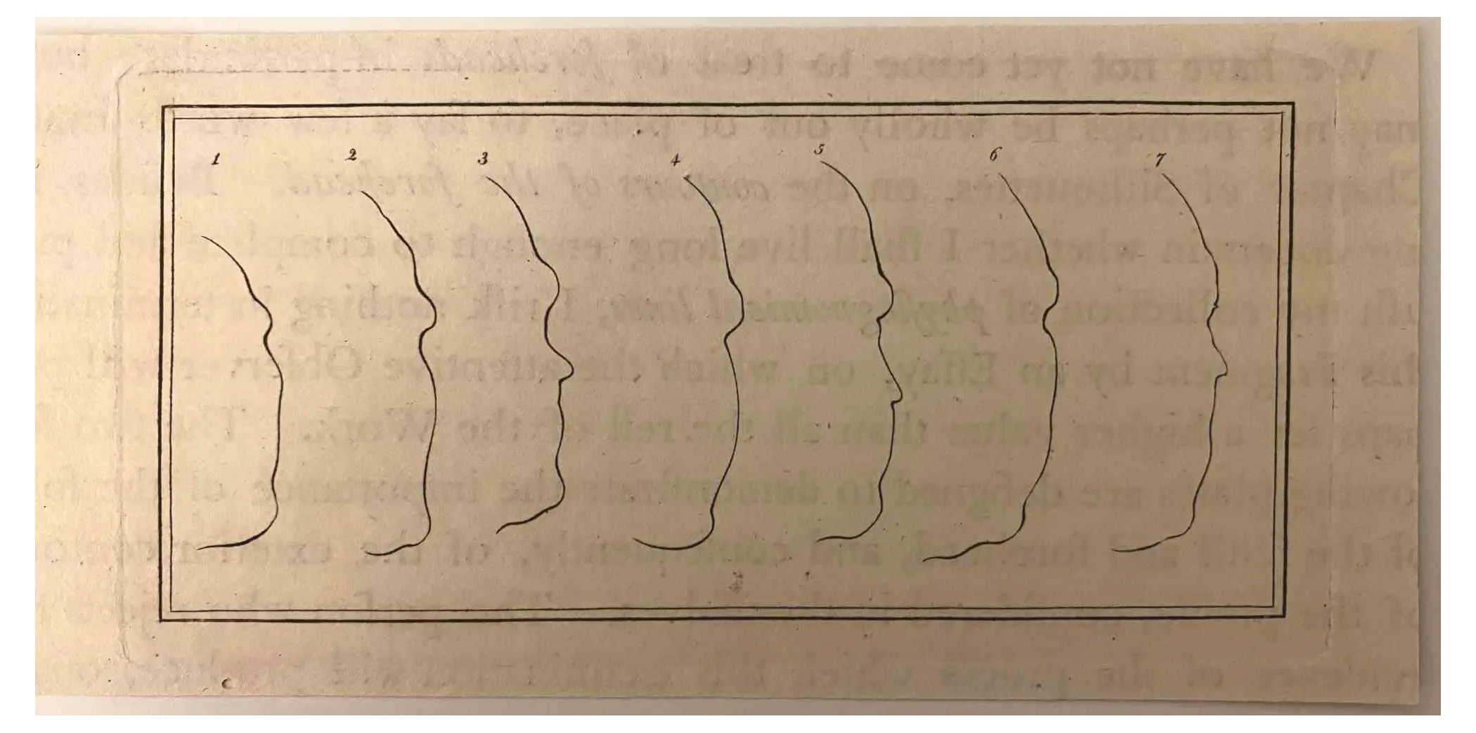 Thomas Holloway, Profiles, Original Etching, 1810 Chairish