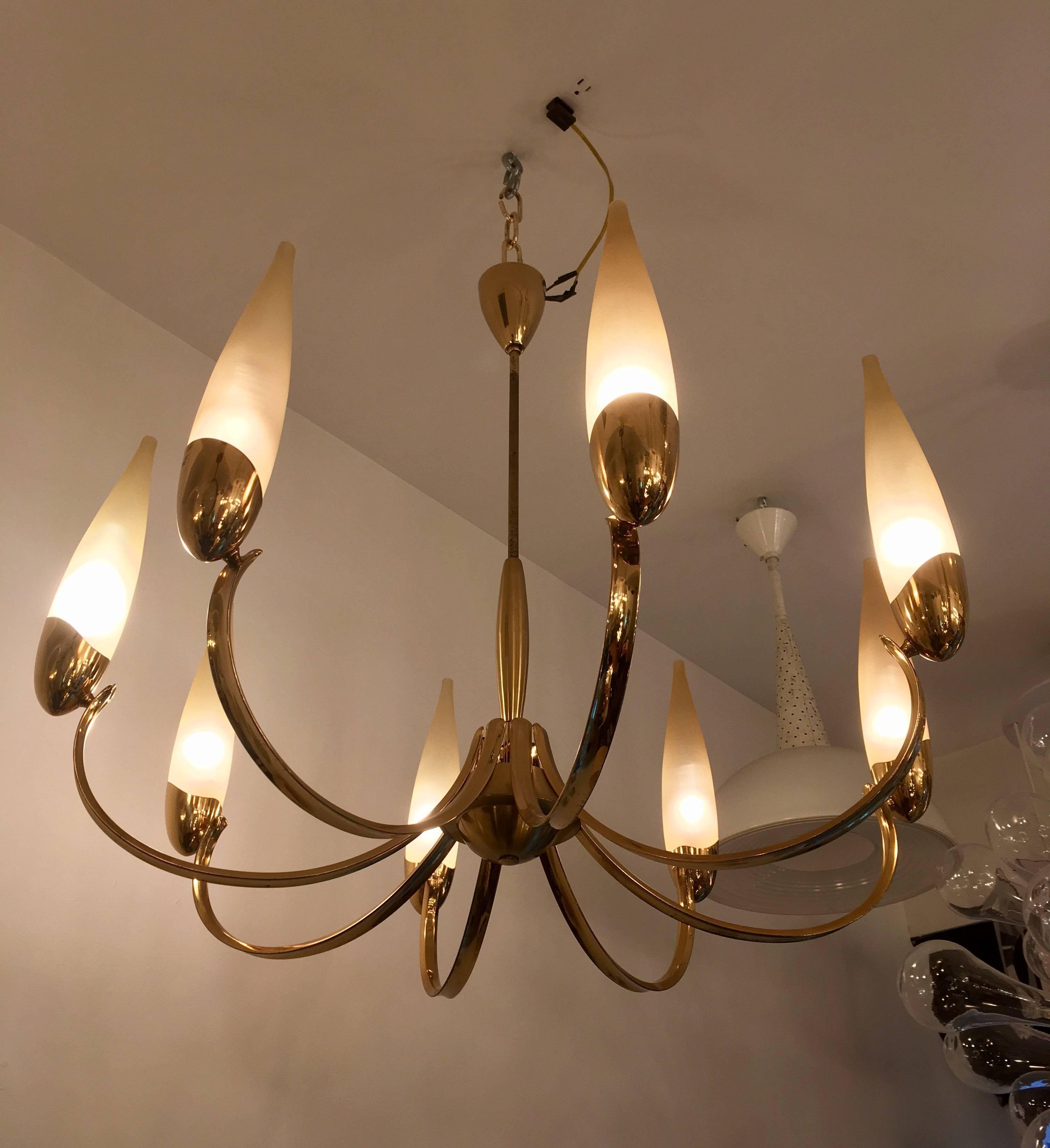 Aloe Hercules Austrian 1960s \