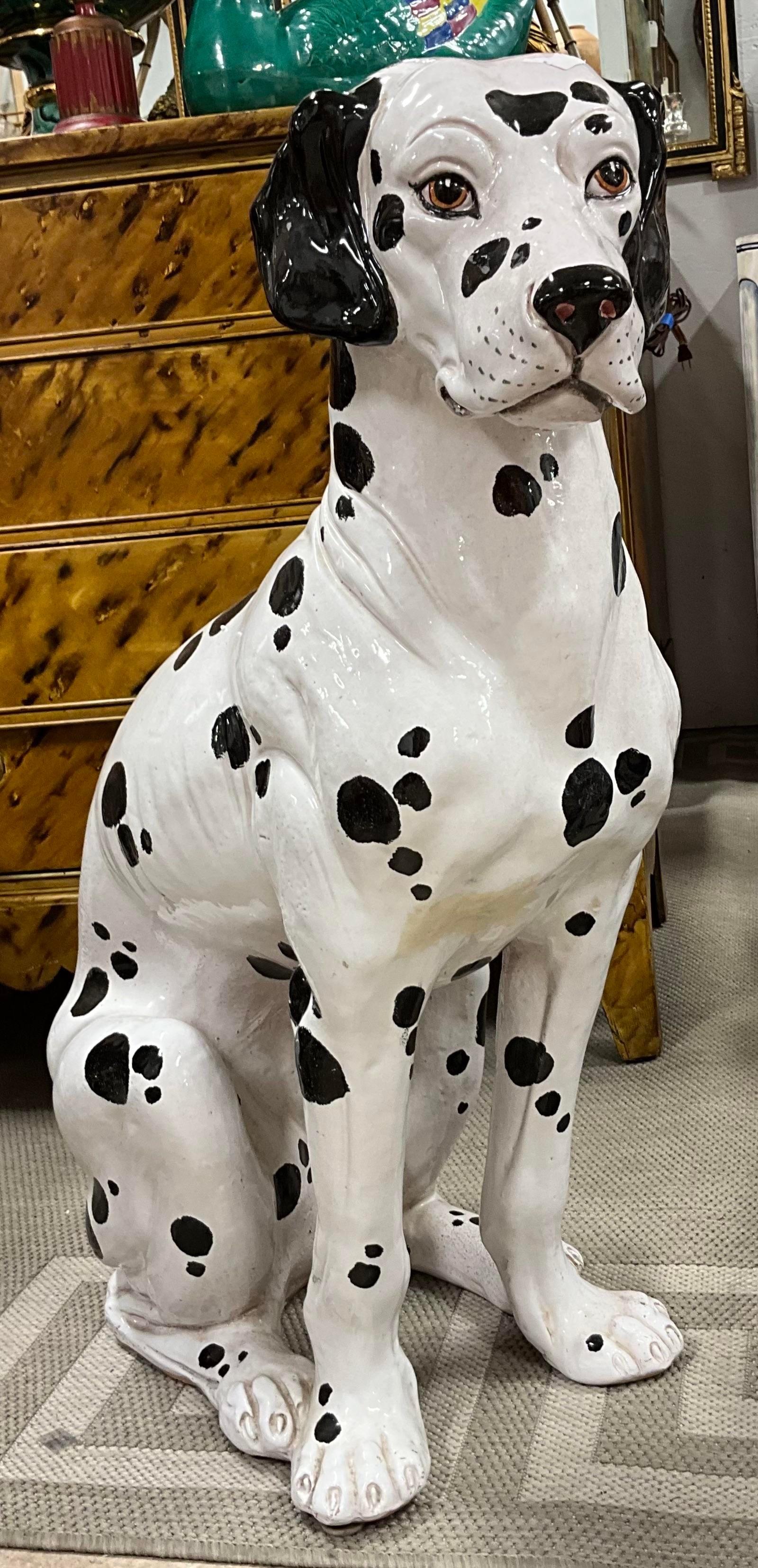 Large dalmatian clearance