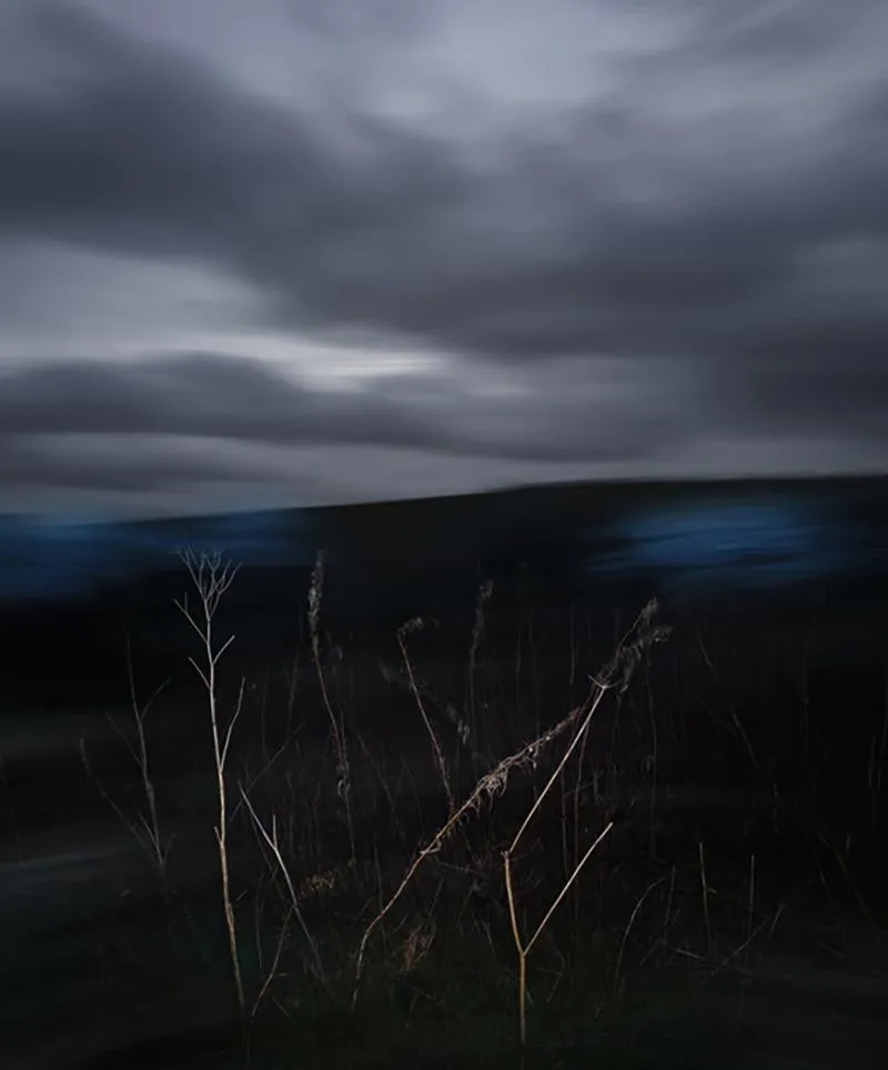 Salisbury Plain 2023