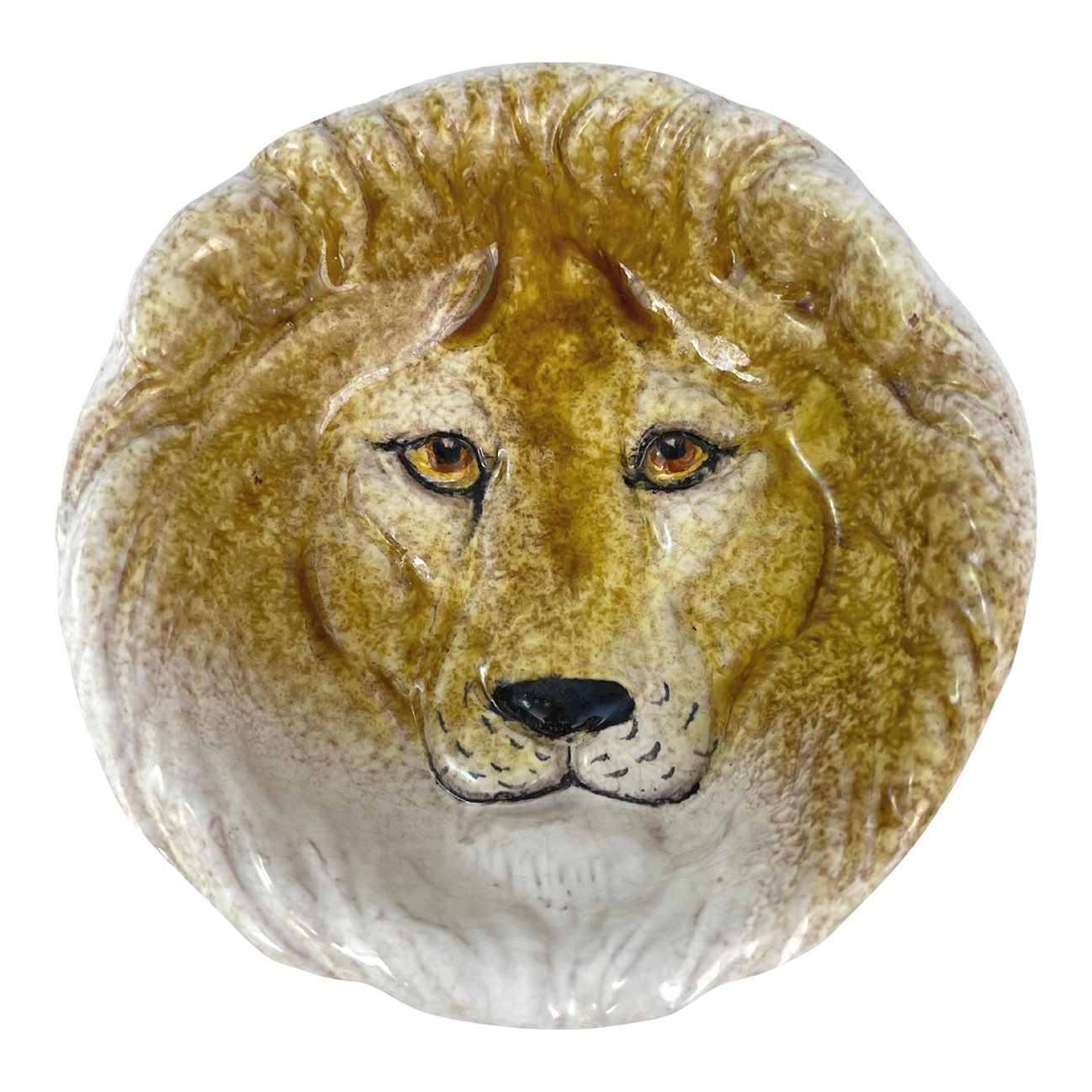 ライオンのディッシュ ライオンのディッシュ