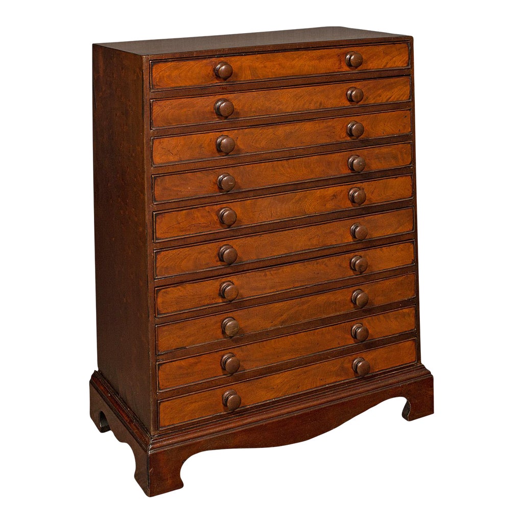 1800s Antique Georgian English Specimen Chest | Chairish