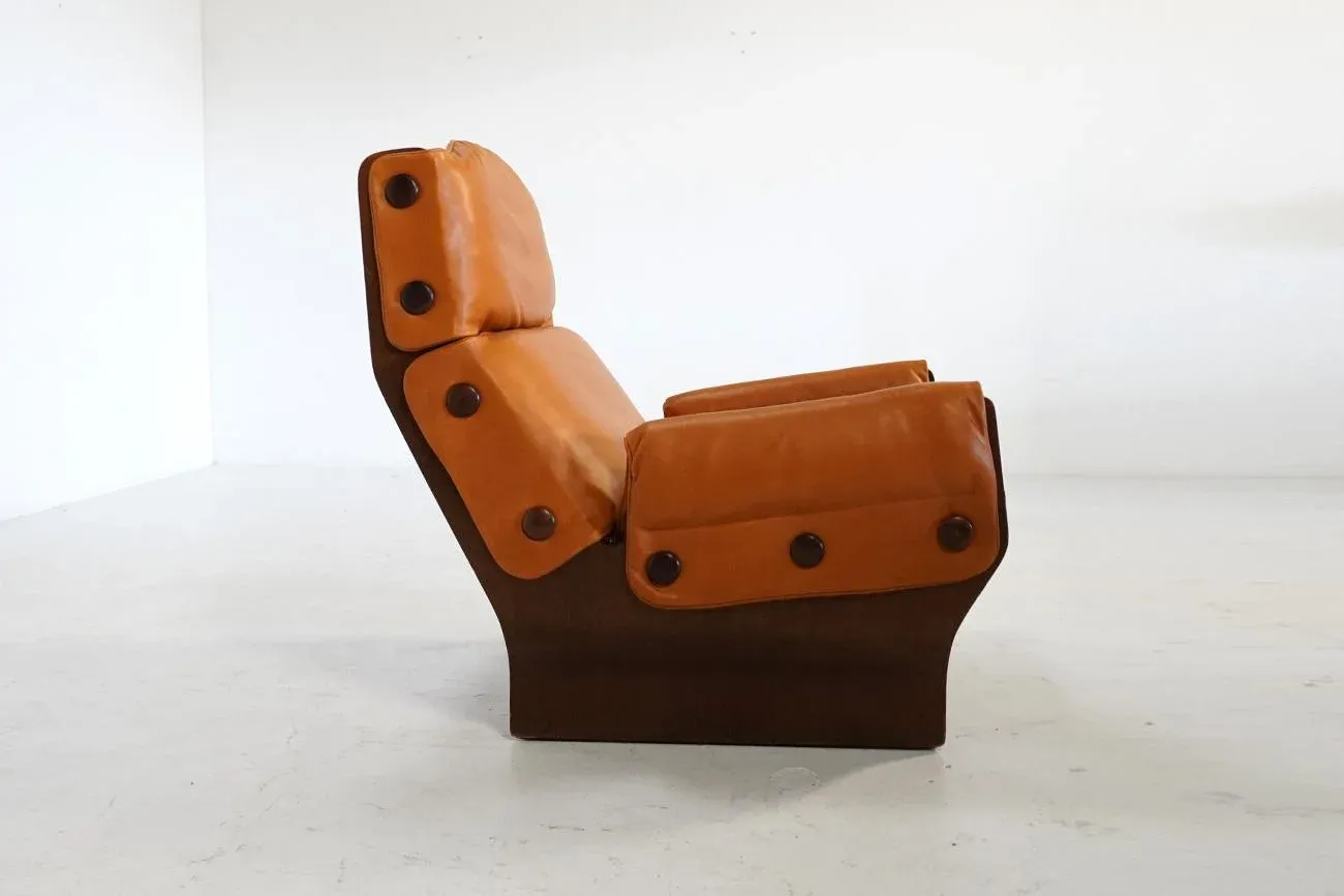 P110 Canada Lounge Chair by Osvaldo Borsani for Tecno, Italy
