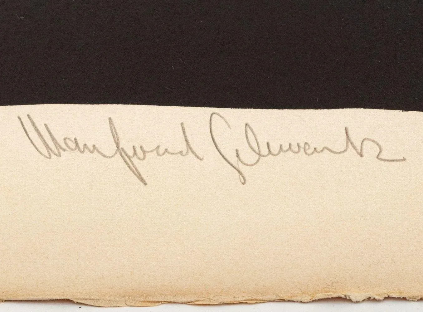 fitz and floydManfred Schwartz \