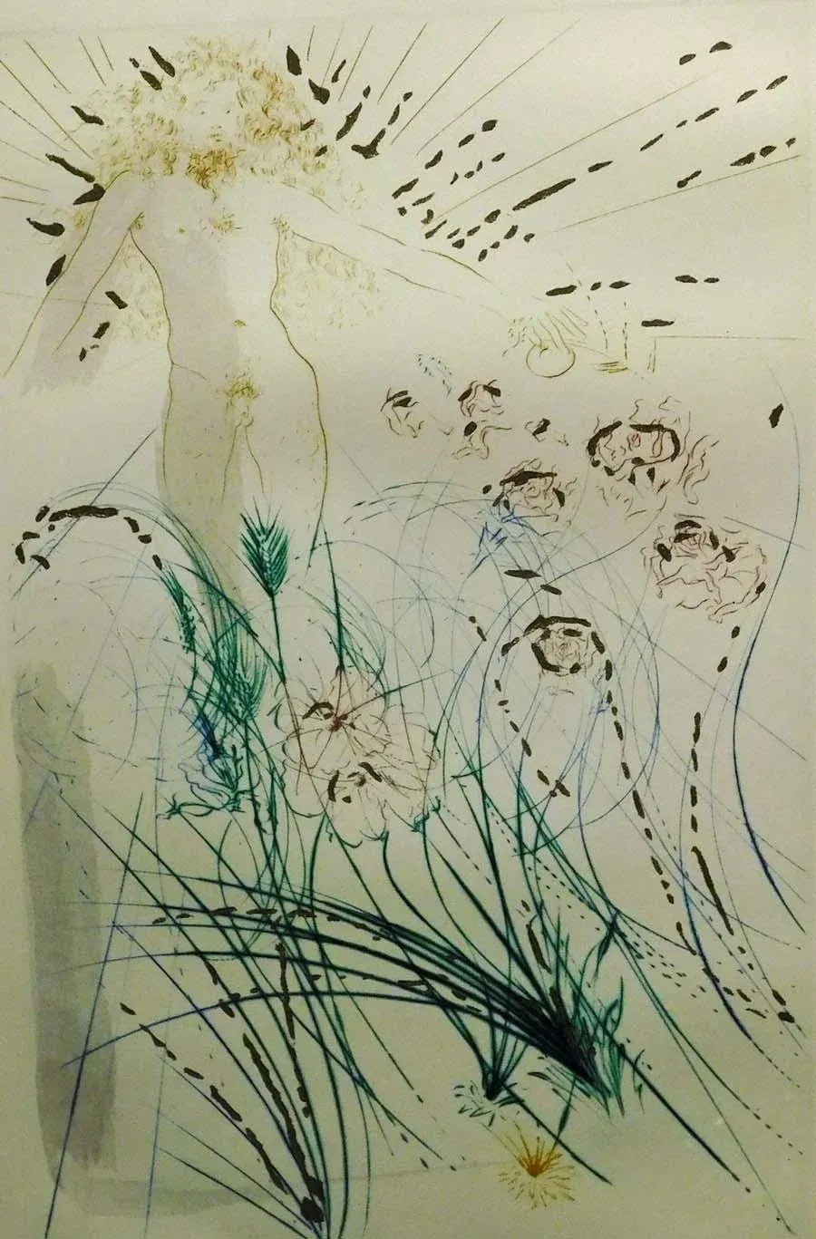 アート・デザイン・音楽 SALVADOR DALI The Making of an Artist アート・デザイン・音楽 SALVADOR DALI The Making of an Artist