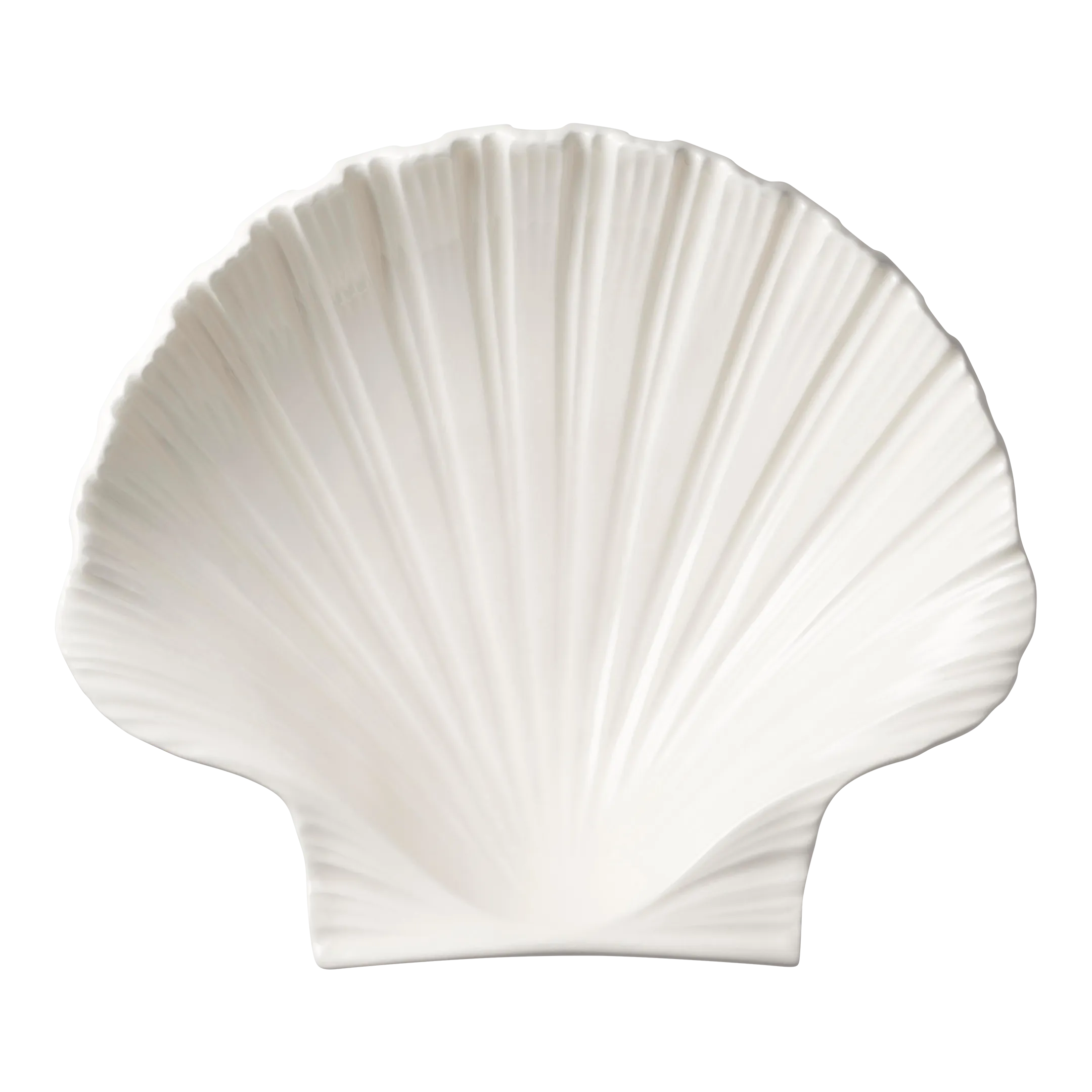 AERIN Shell Platter, Medium Chairish