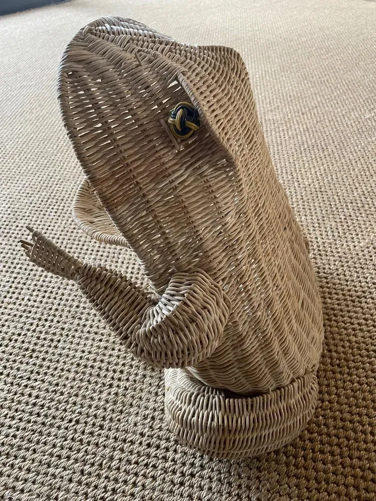 Frog Magazine Holder by Olivier Cajan