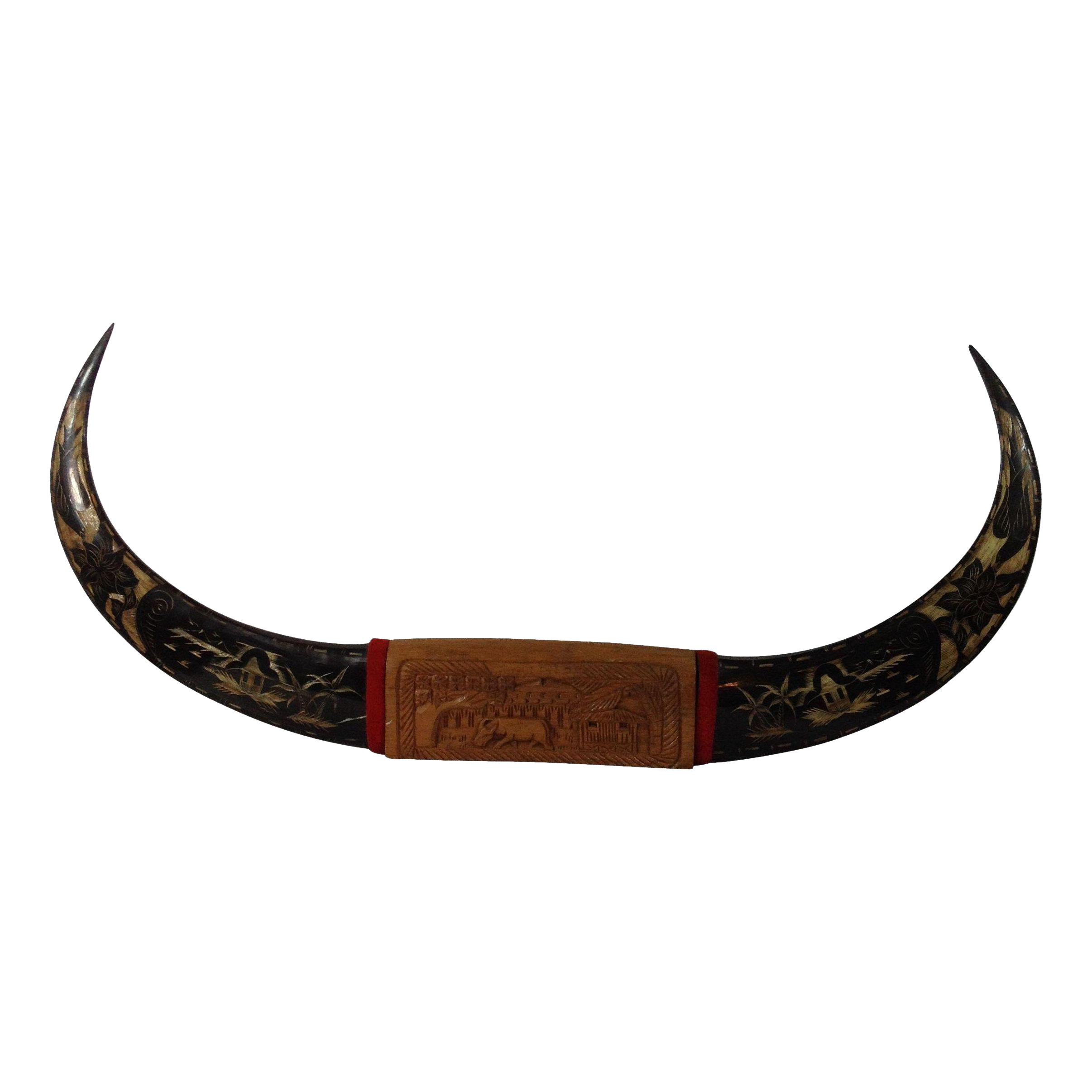 Antique Mounted Hand Carved Water Buffalo Horns Chairish