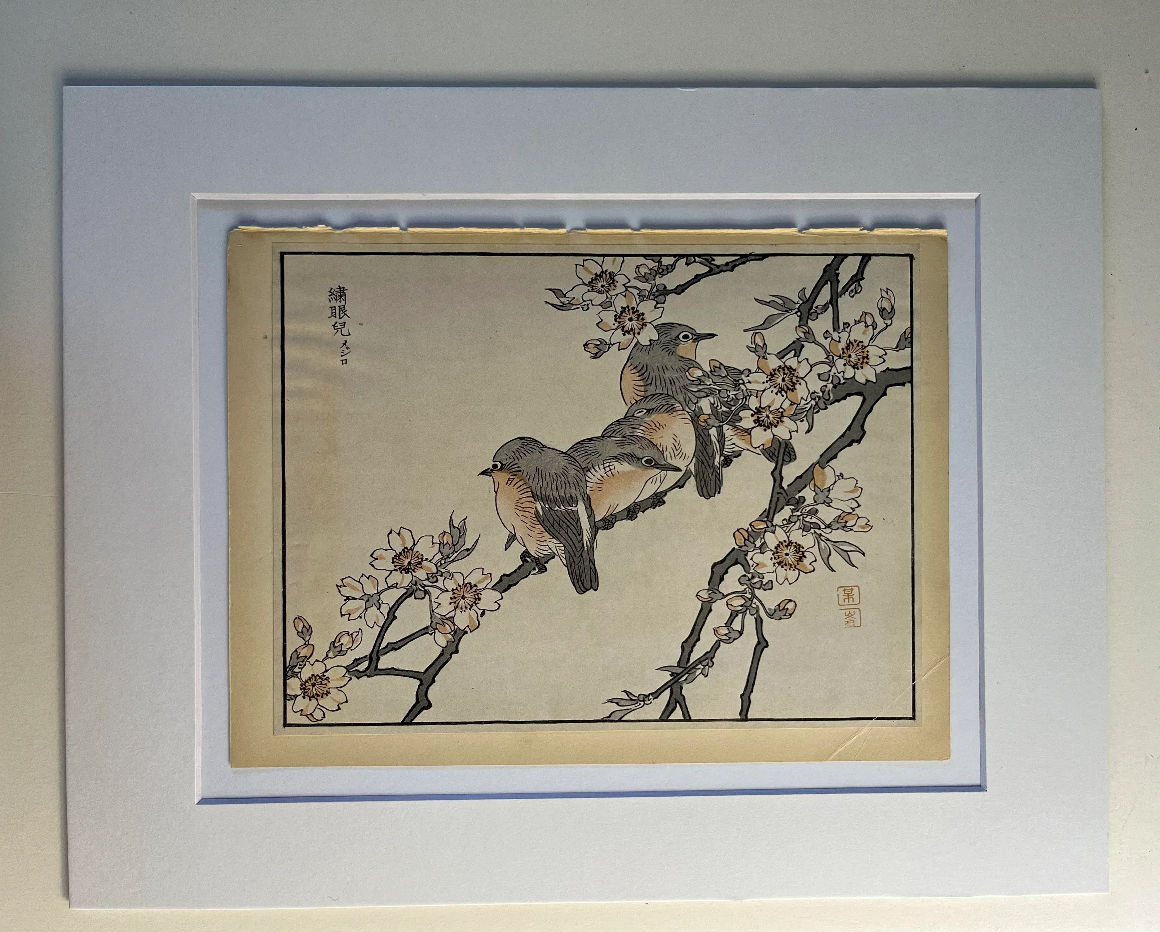1942 Japanese Birds on Branch Print | Chairish