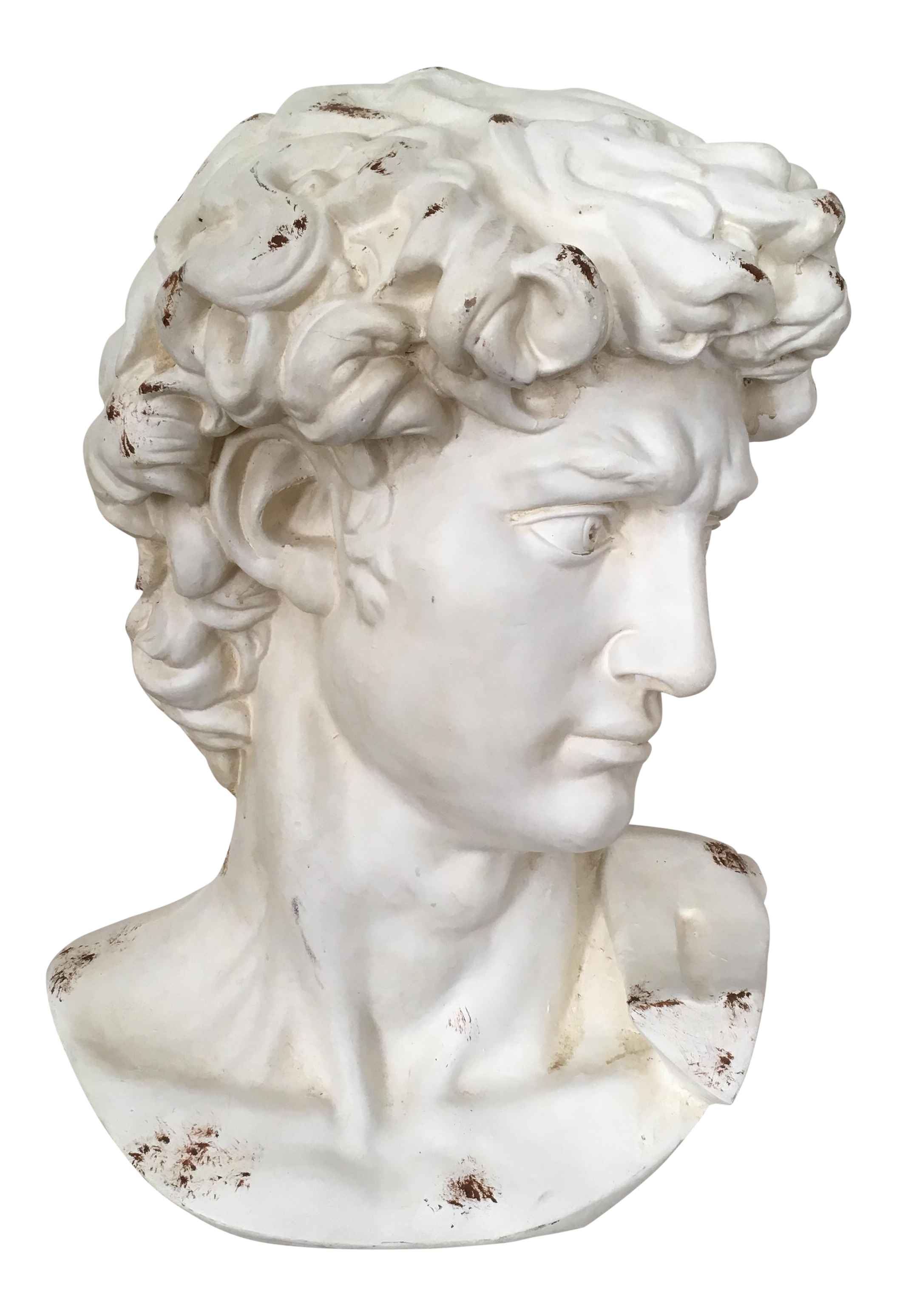 Plaster Bust of David | Chairish lion diagram 