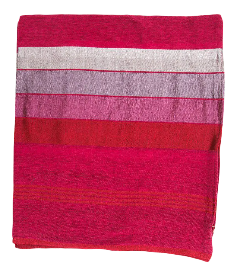 Cactus Silk Pillow Cases, Set of Four Chairish