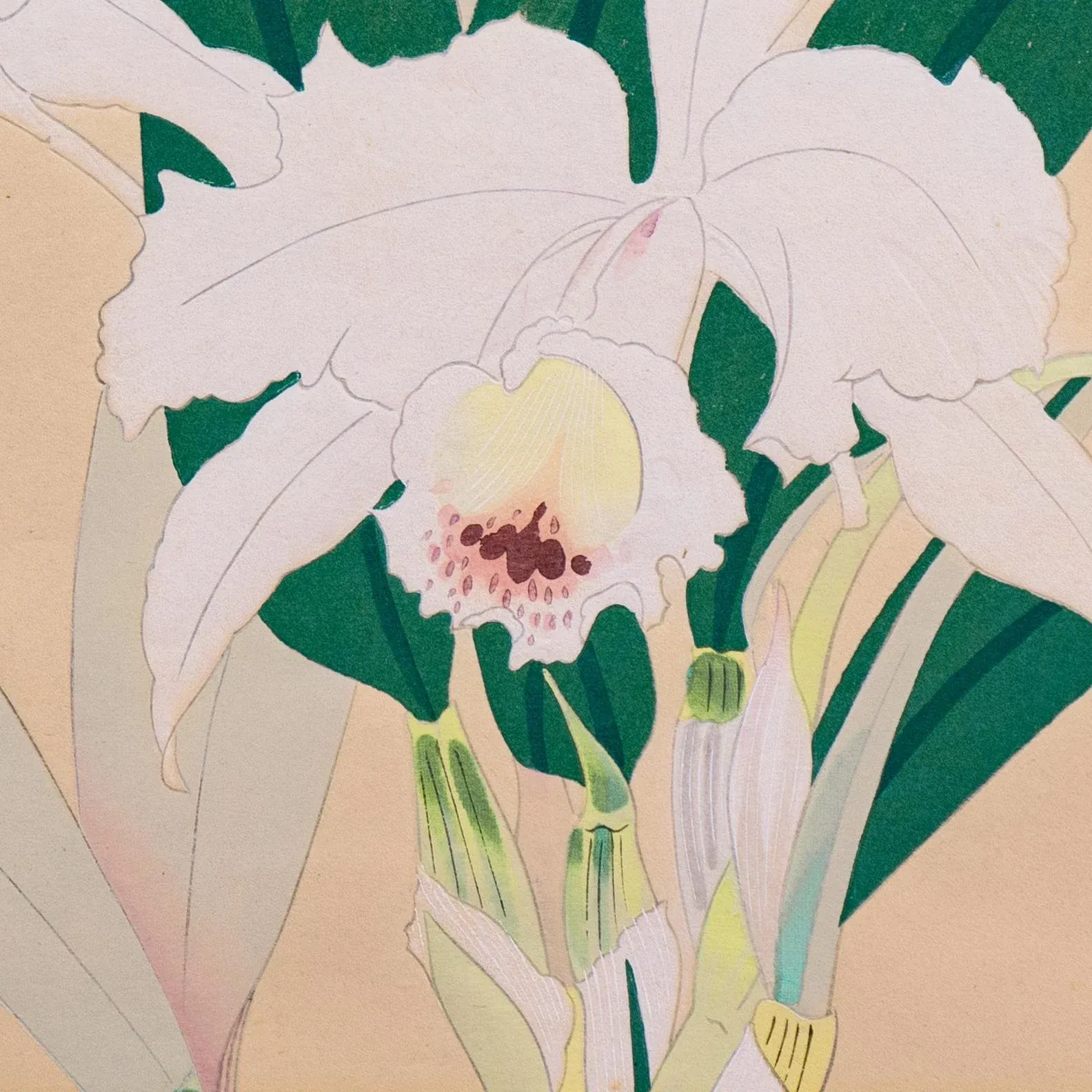 Still Life of Orchids' by Ikeda Zuigetsu, 1946, Japanese