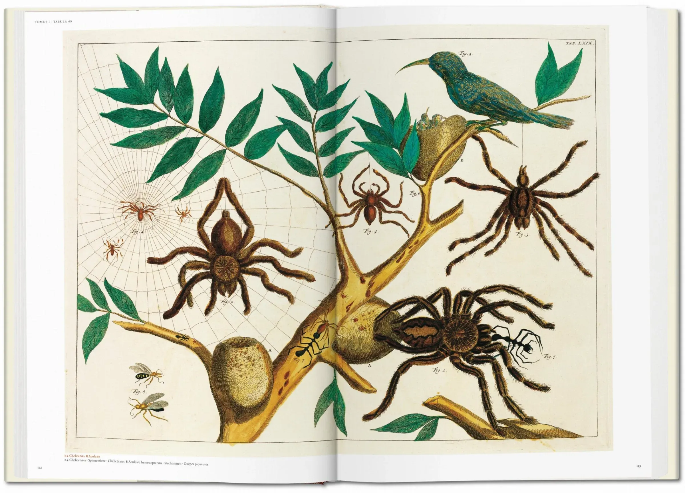 TASCHEN Seba. Cabinet of Natural Curiosities Book – Wynn at Home