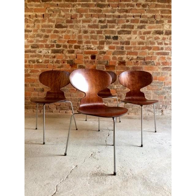 1950s Arne Jacobsen Table and Four Fritz Hansen Ant Chairs
