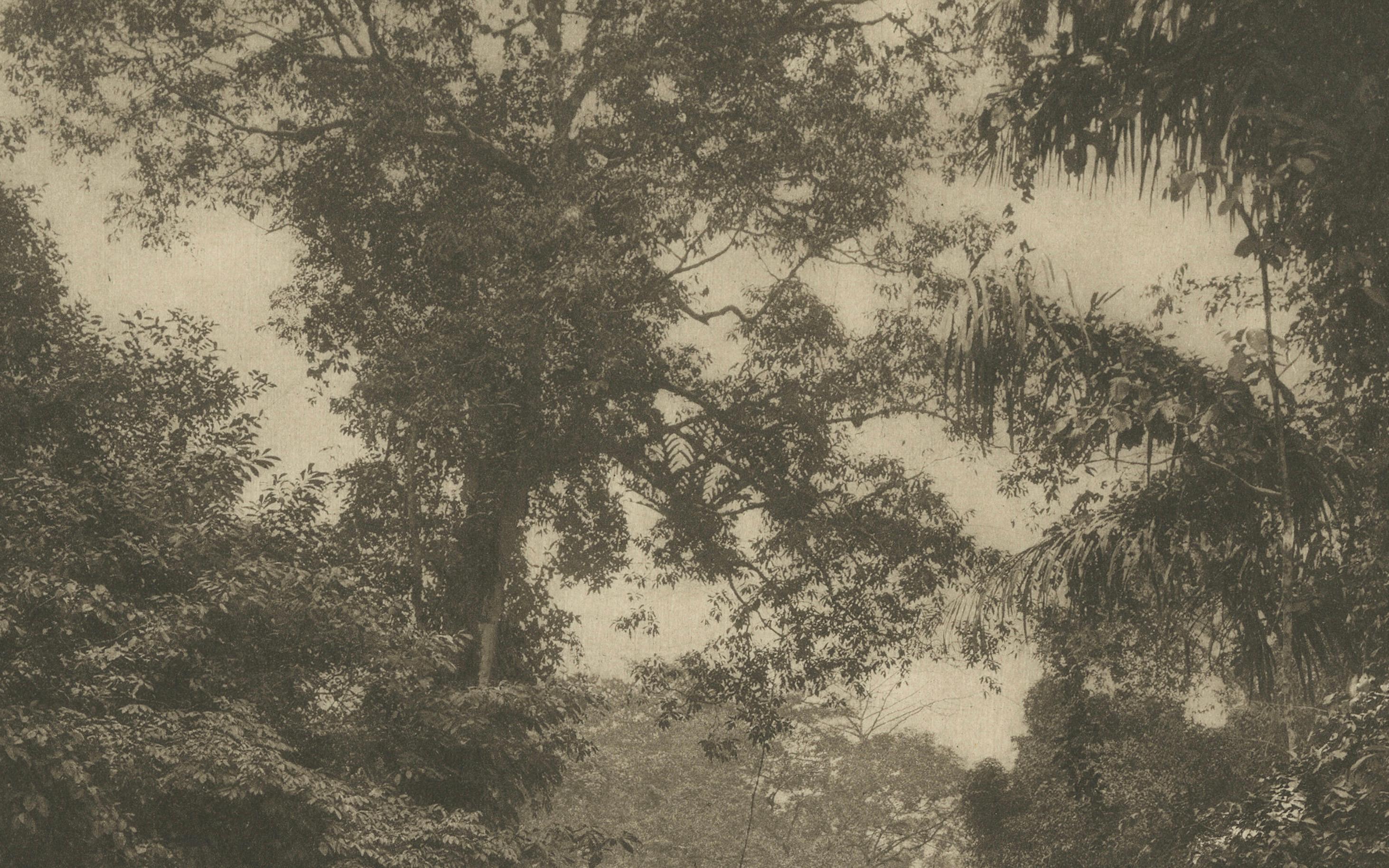 C.J. Kleingrothe, Soengei Belawan River, Medan, Dutch East Indies