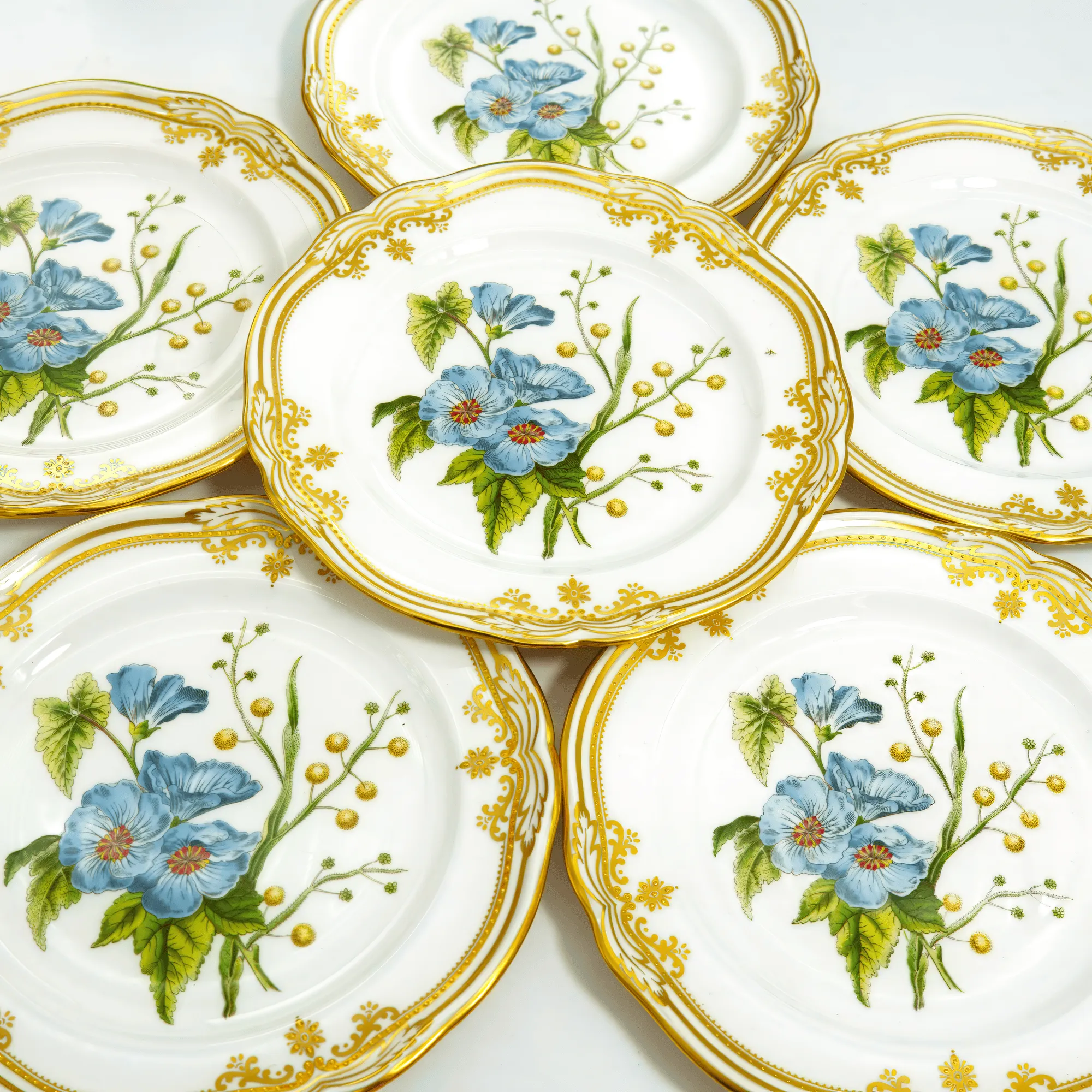 1980s Spode Stafford Flowers Sida & Acacia English Bone China