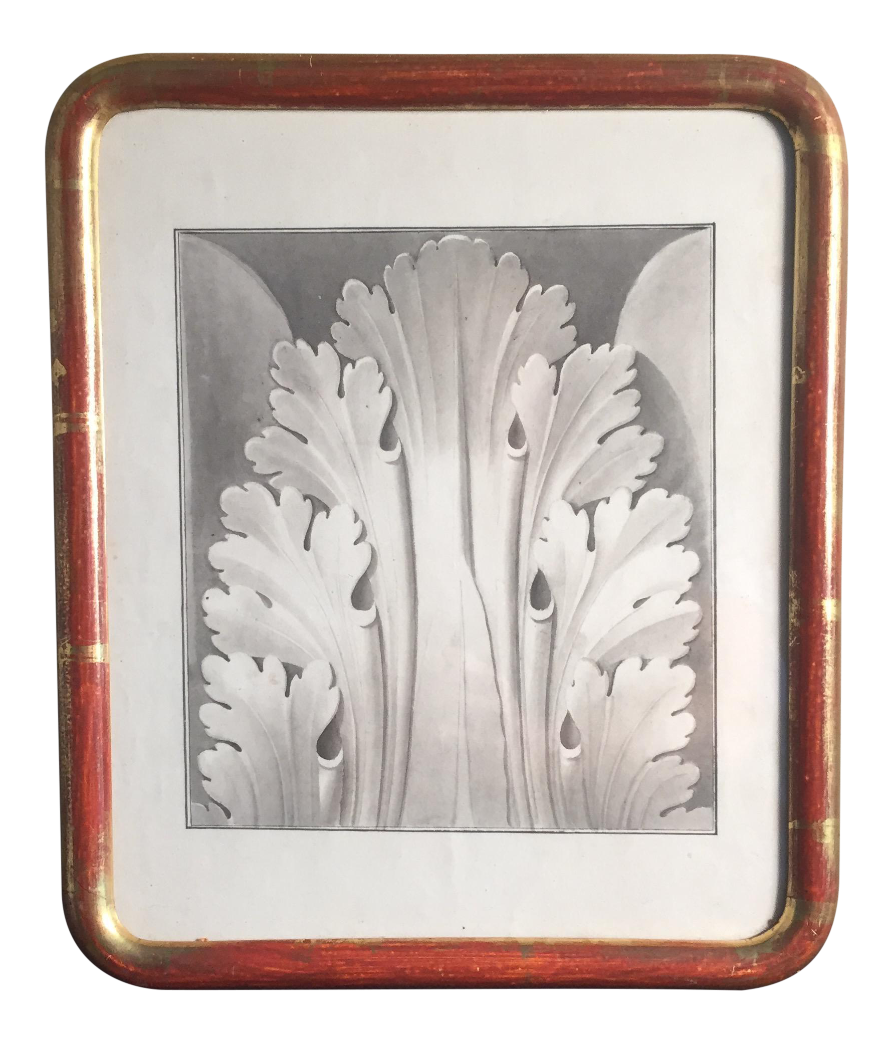 Framed Charcoal Leaf Drawing Chairish