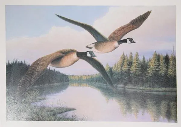 Snow Geese, Pat McManus Screen Print