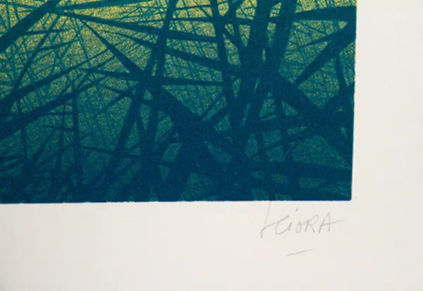 Daniel Sciora, \