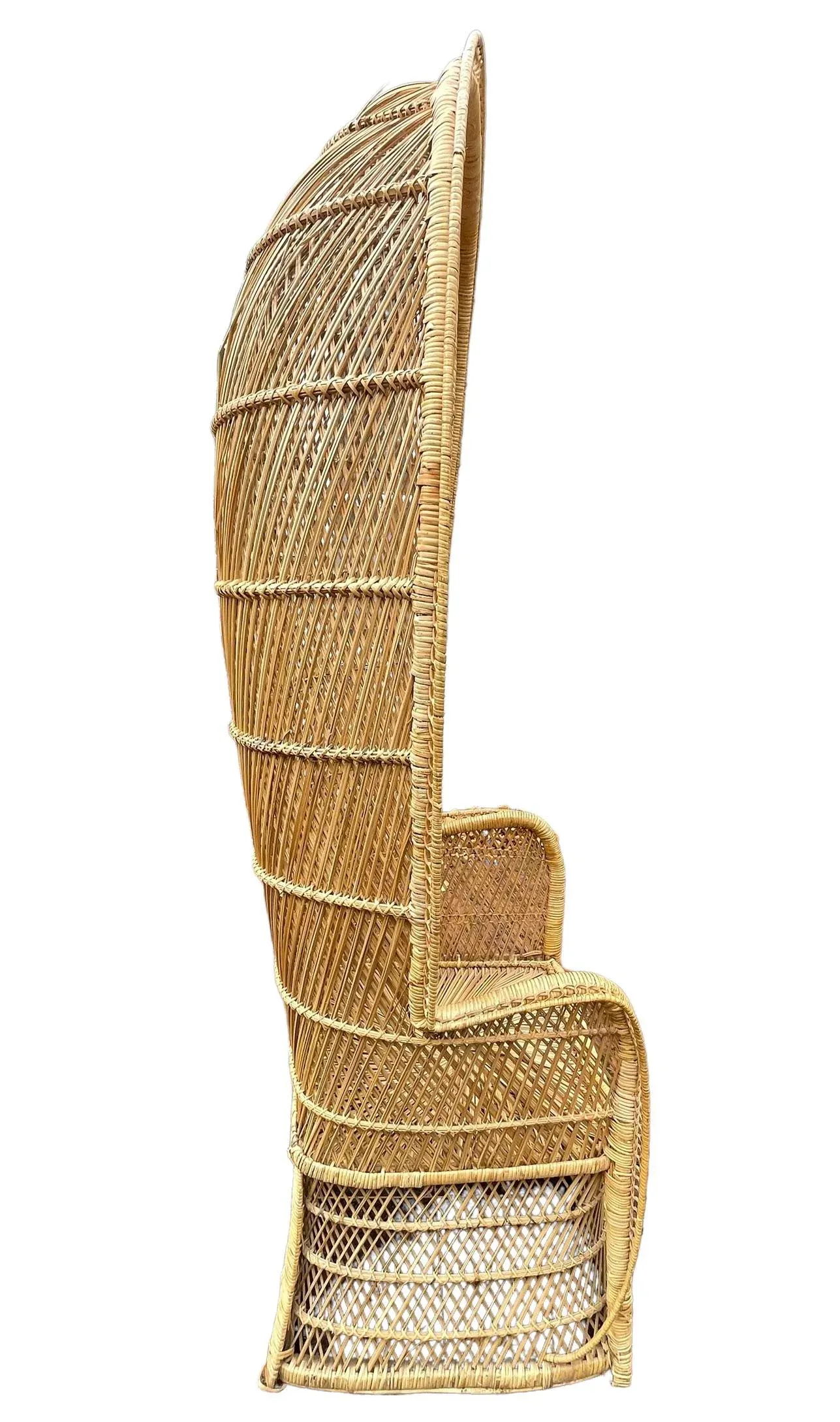 Vintage Peacock Chair Boho Accent Chair Wicker Canopy Peacock