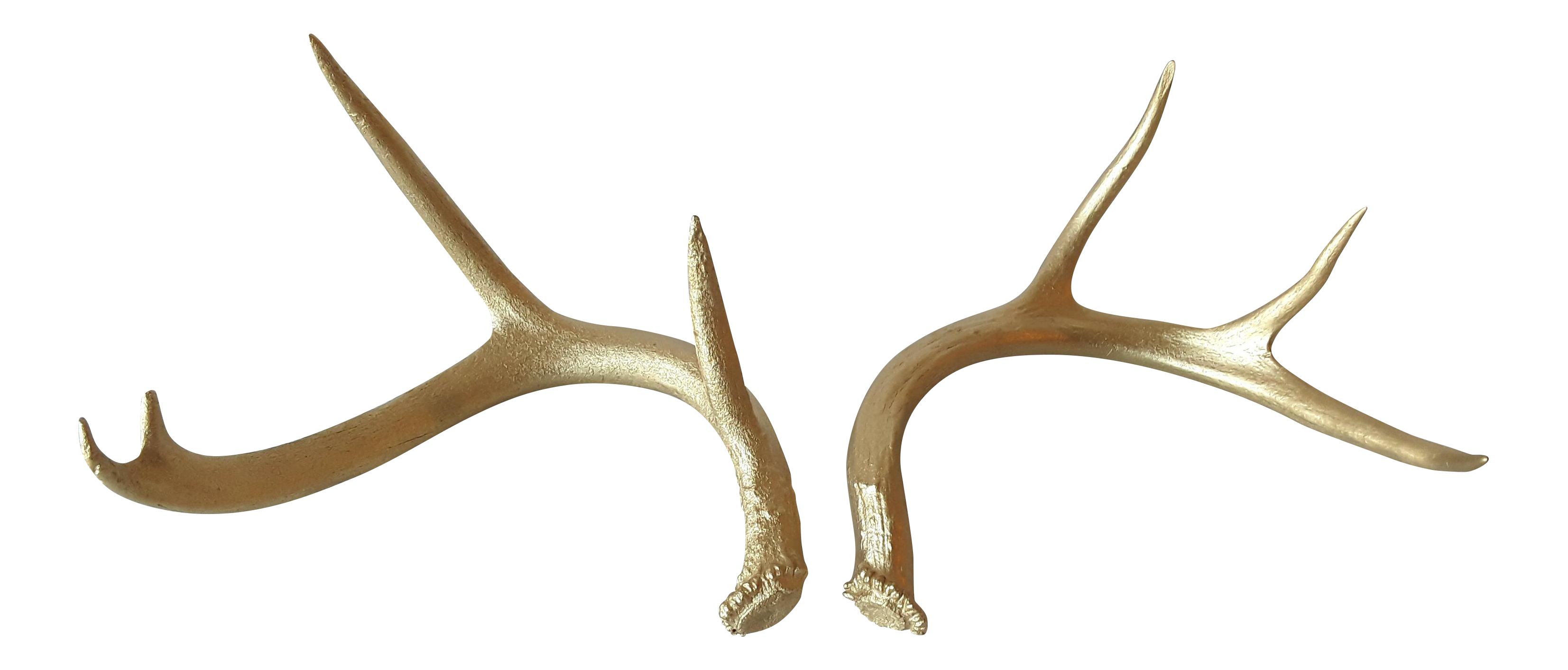 Gold Painted Deer Antlers A Pair Chairish