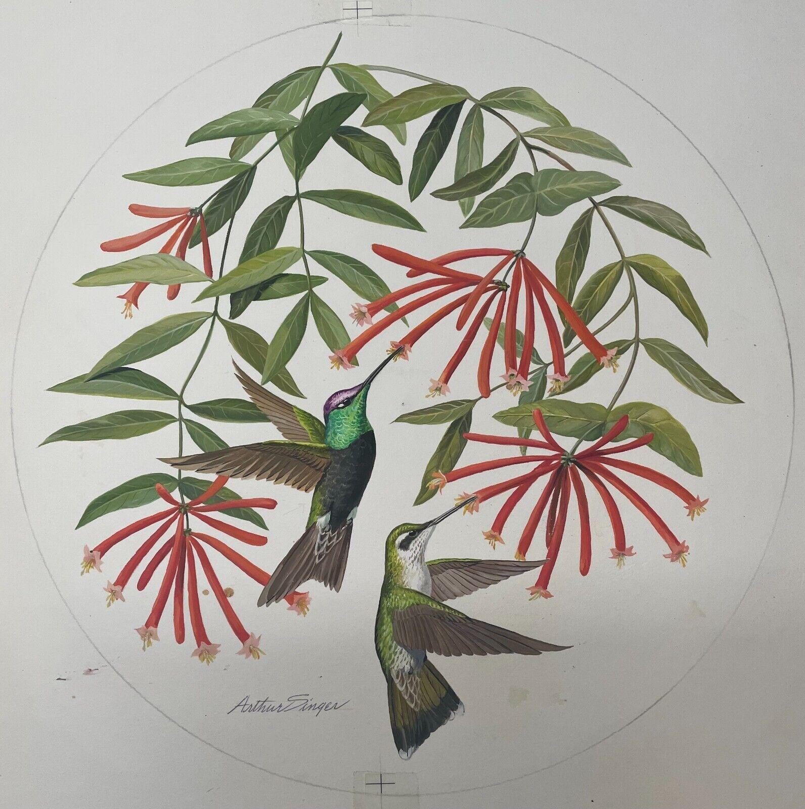 Rosemary Bird作 アボリジニアート Original Arthur Singer 'rivoli Hummingbird' Painting for